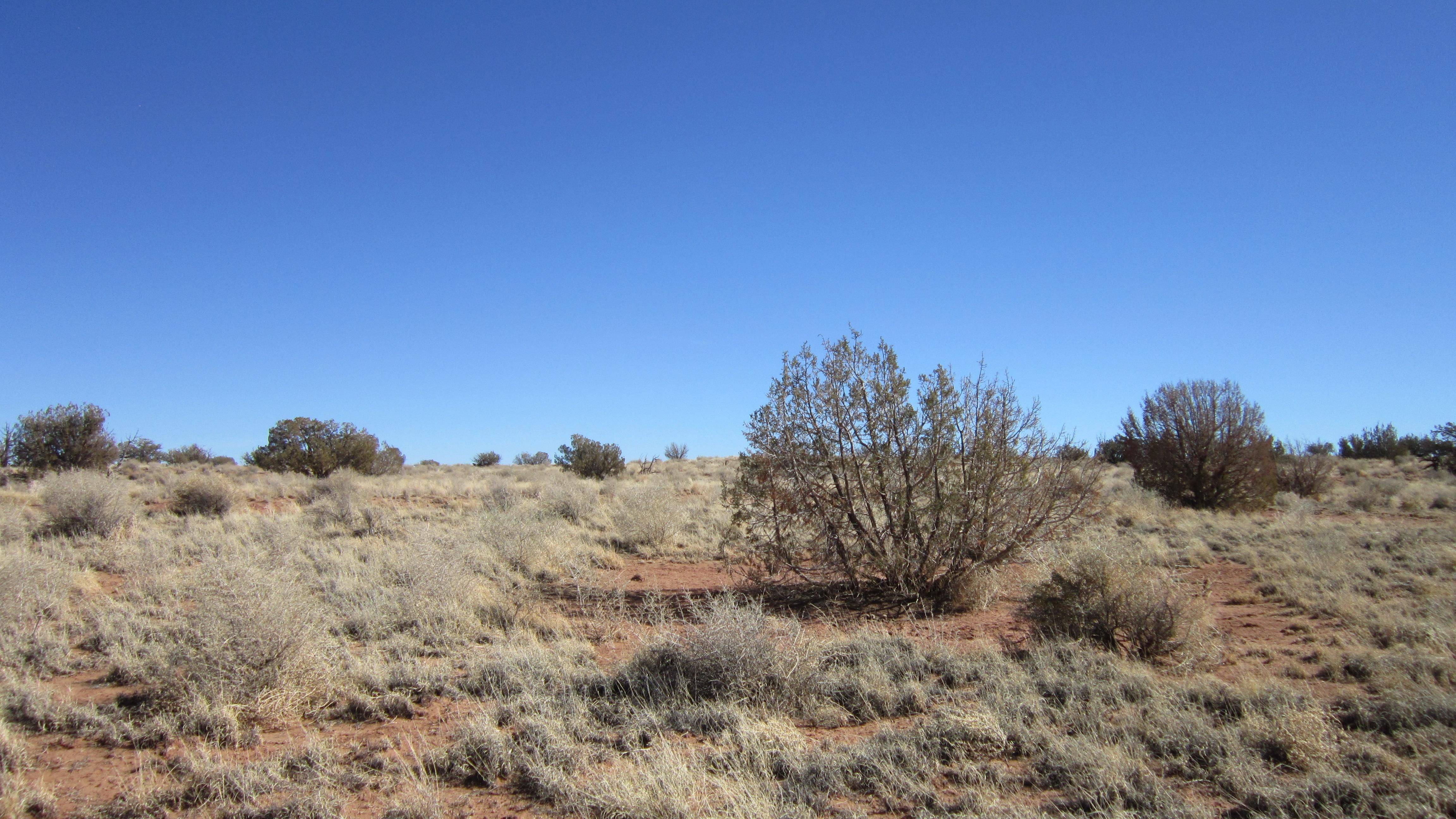 Snowflake, Navajo County, AZ Recreational Property, Undeveloped Land for sale Property ID