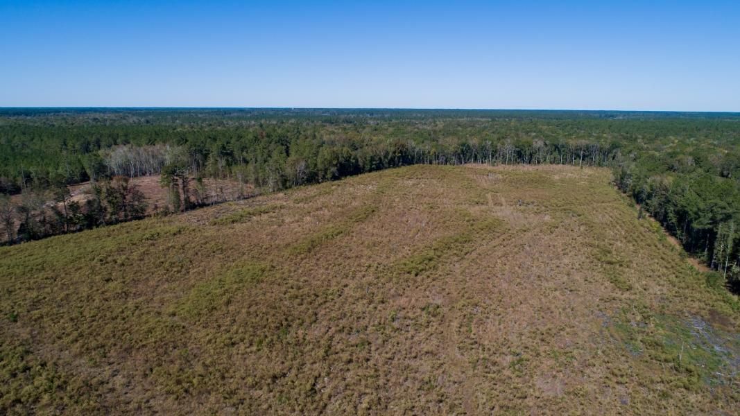 39 acres in Ruffin, SC, 29475 LandWatch