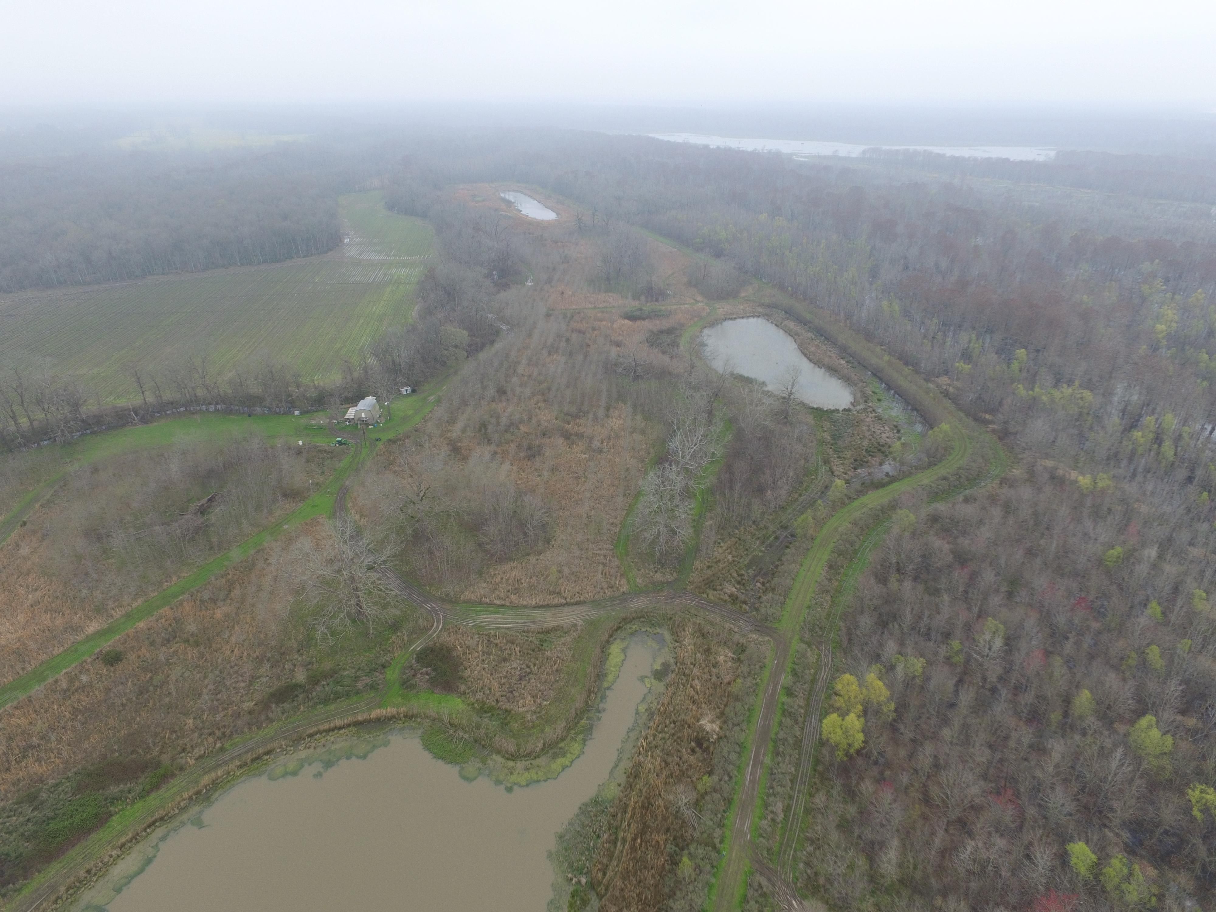 Lettsworth, Pointe Coupee Parish, LA Recreational Property, Timberland Property, Hunting