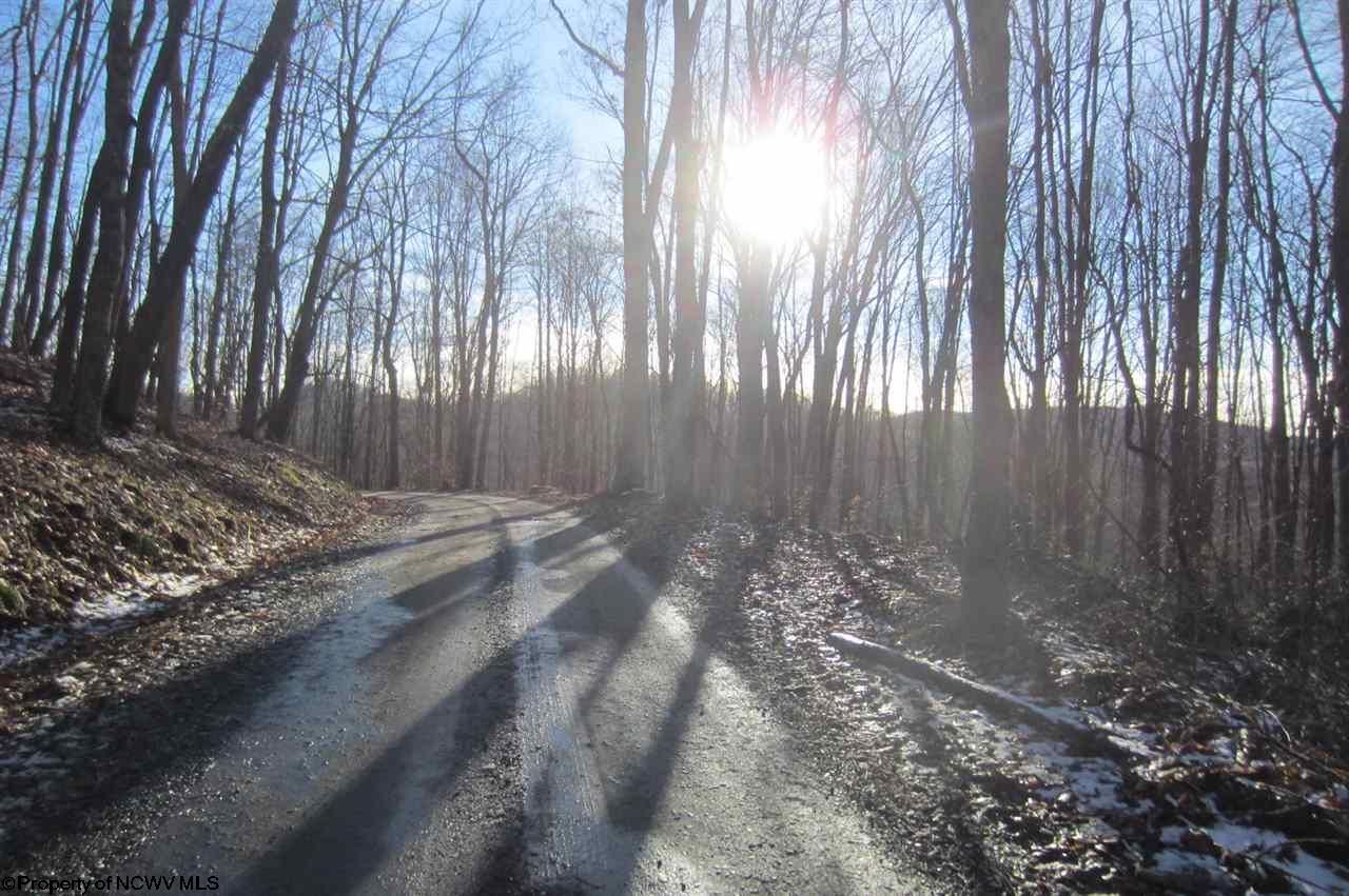 Philippi, Barbour County, WV Farms and Ranches for sale Property ID