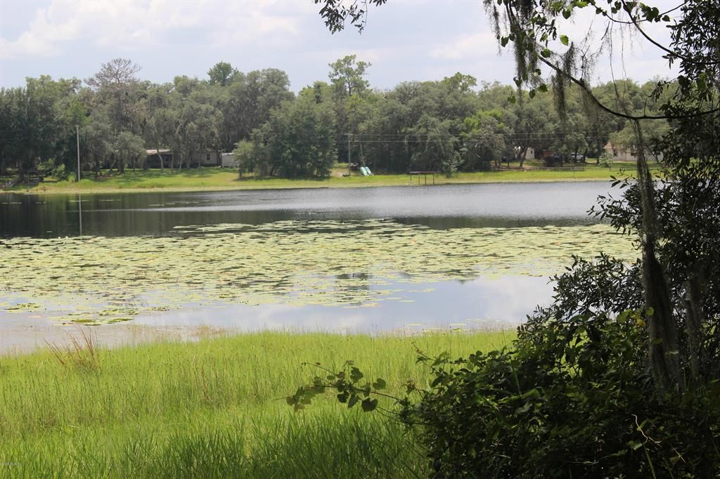 Fort McCoy, Marion County, FL Lakefront Property, Waterfront Property