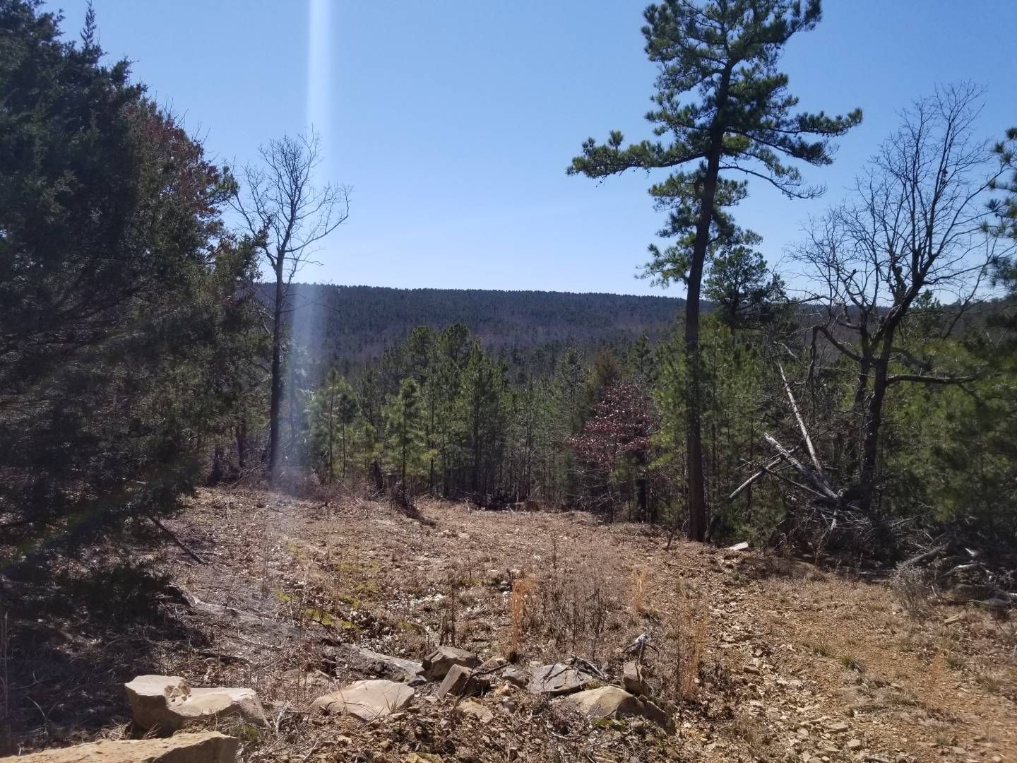 Red Oak, Latimer County, OK Undeveloped Land for sale Property ID