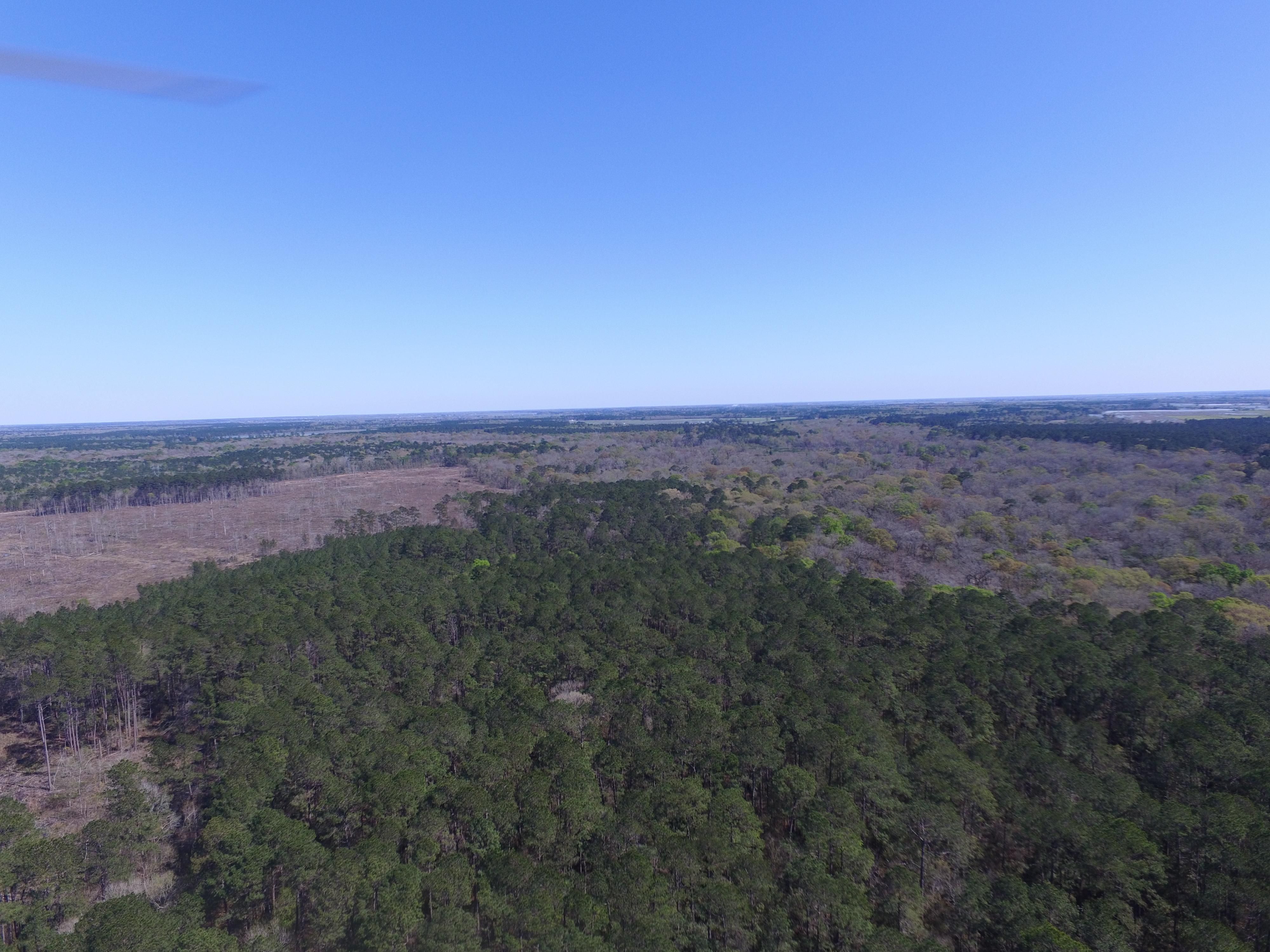 1,051 acres in Iota, LA, 70543 LandWatch