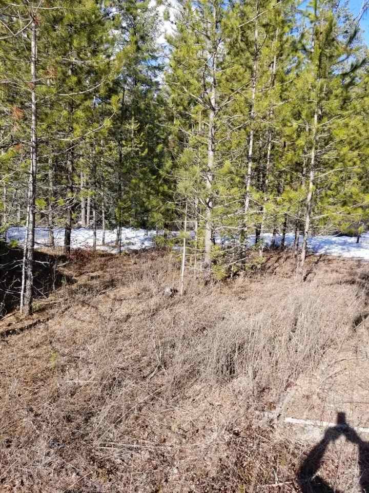 Loon Lake, Stevens County, WA Undeveloped Land, Homesites for sale