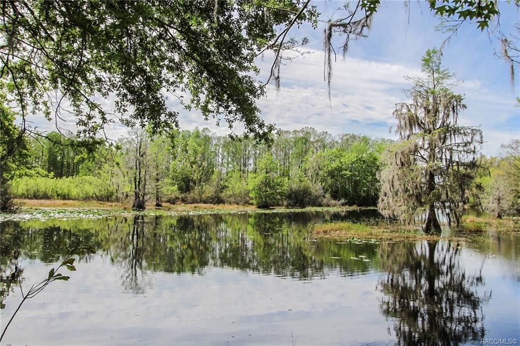 Inverness, Citrus County, FL Undeveloped Land, Lakefront Property