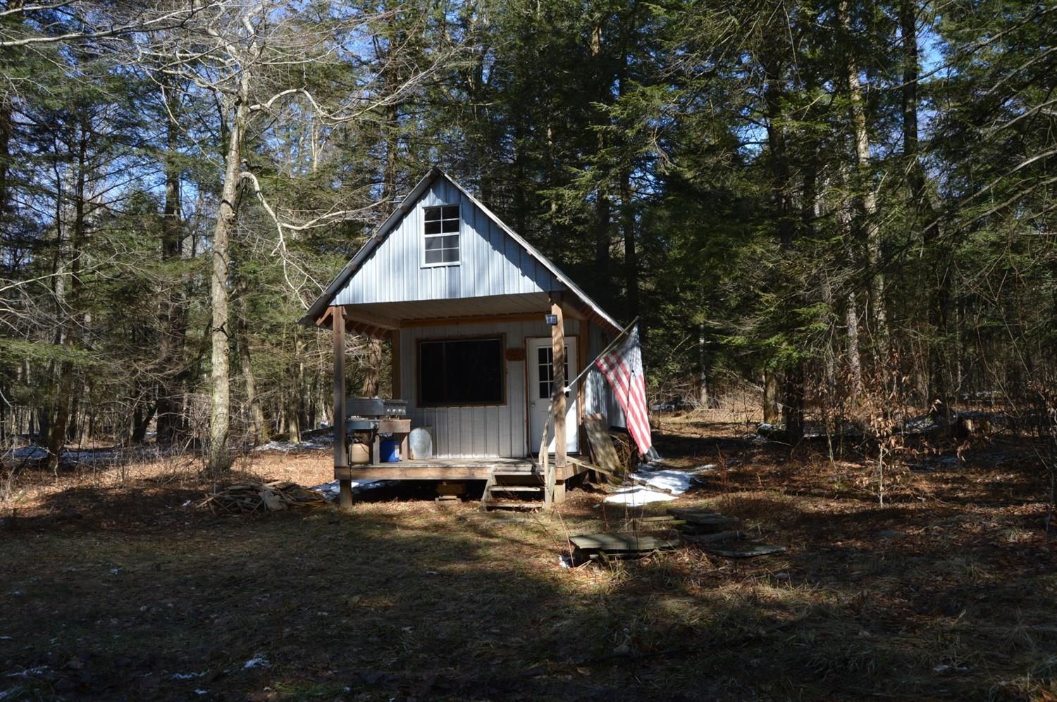 Butternuts, Otsego County, NY Undeveloped Land for sale Property ID