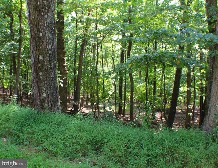 Upper Tract, Pendleton County, WV Recreational Property, Hunting