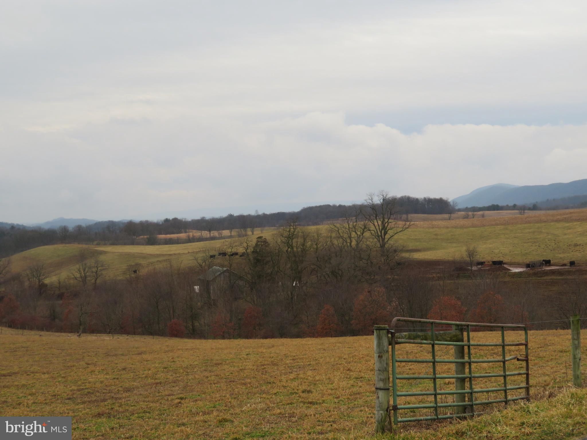 Dornsife, Northumberland County, PA Undeveloped Land for sale Property