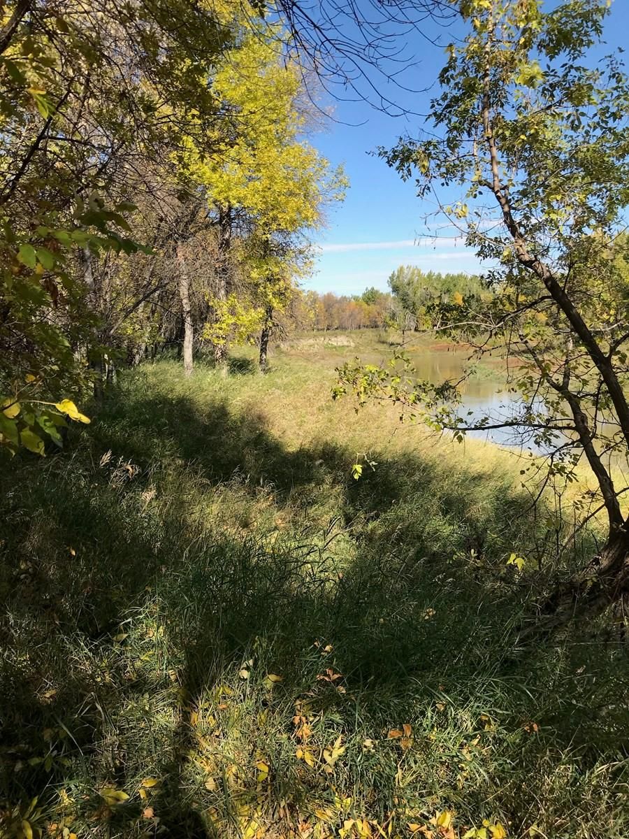Vandalia, Valley County, MT Farms and Ranches, Hunting Property, House