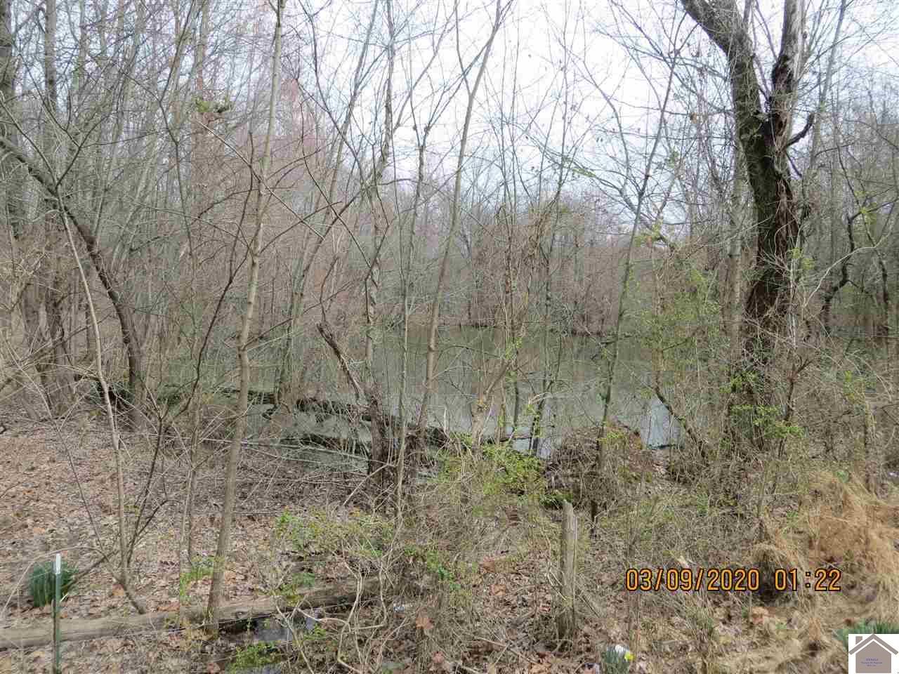 Wickliffe, Ballard County, KY Undeveloped Land for sale Property ID
