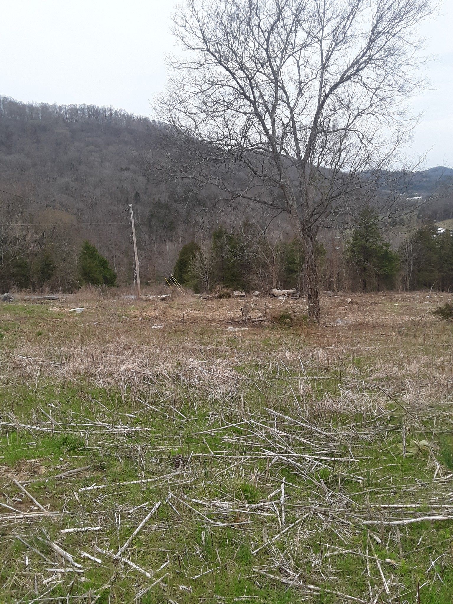 Liberty, DeKalb County, TN Undeveloped Land for sale Property ID