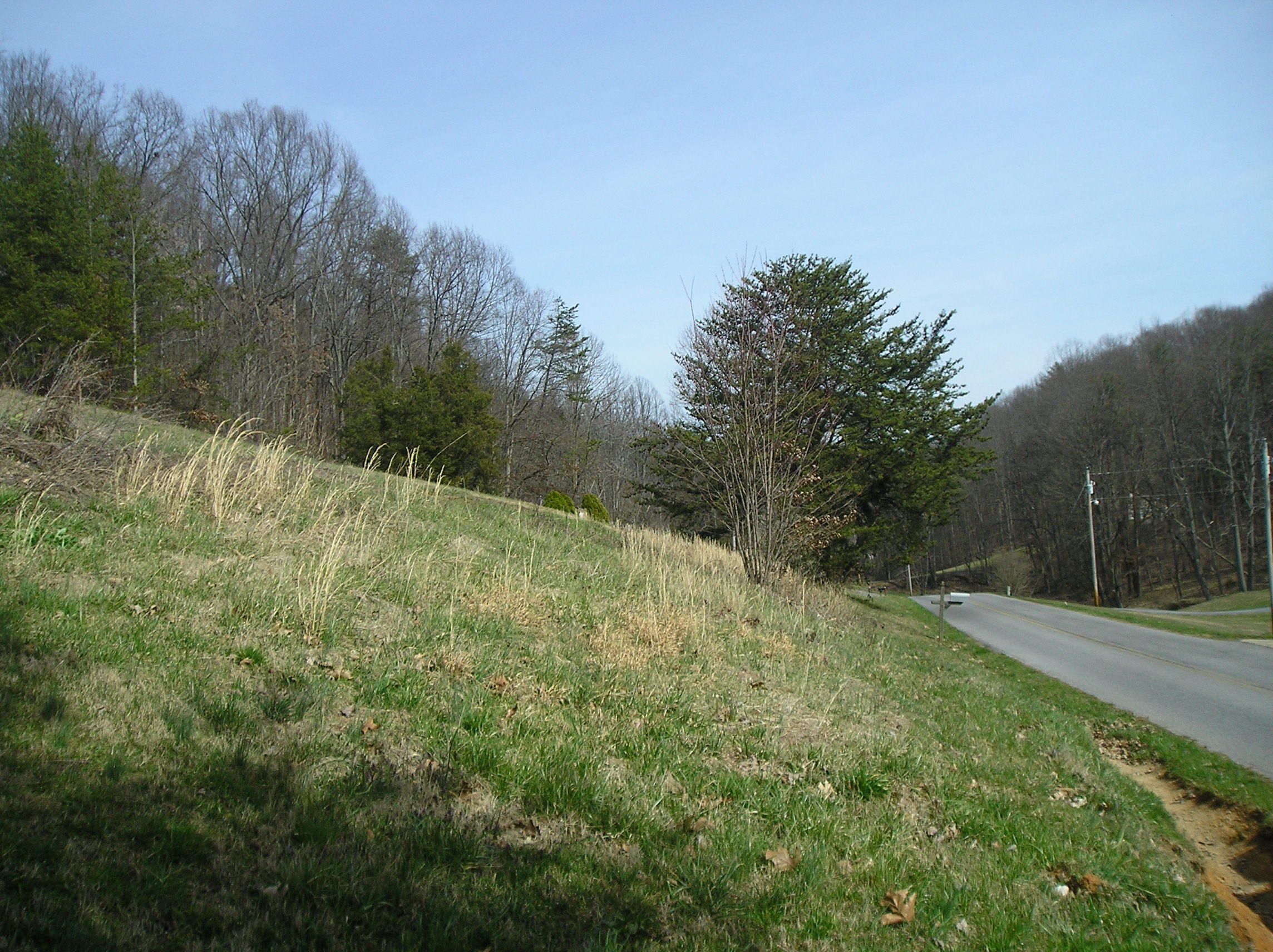 Fall Branch, Washington County, TN Undeveloped Land for sale Property