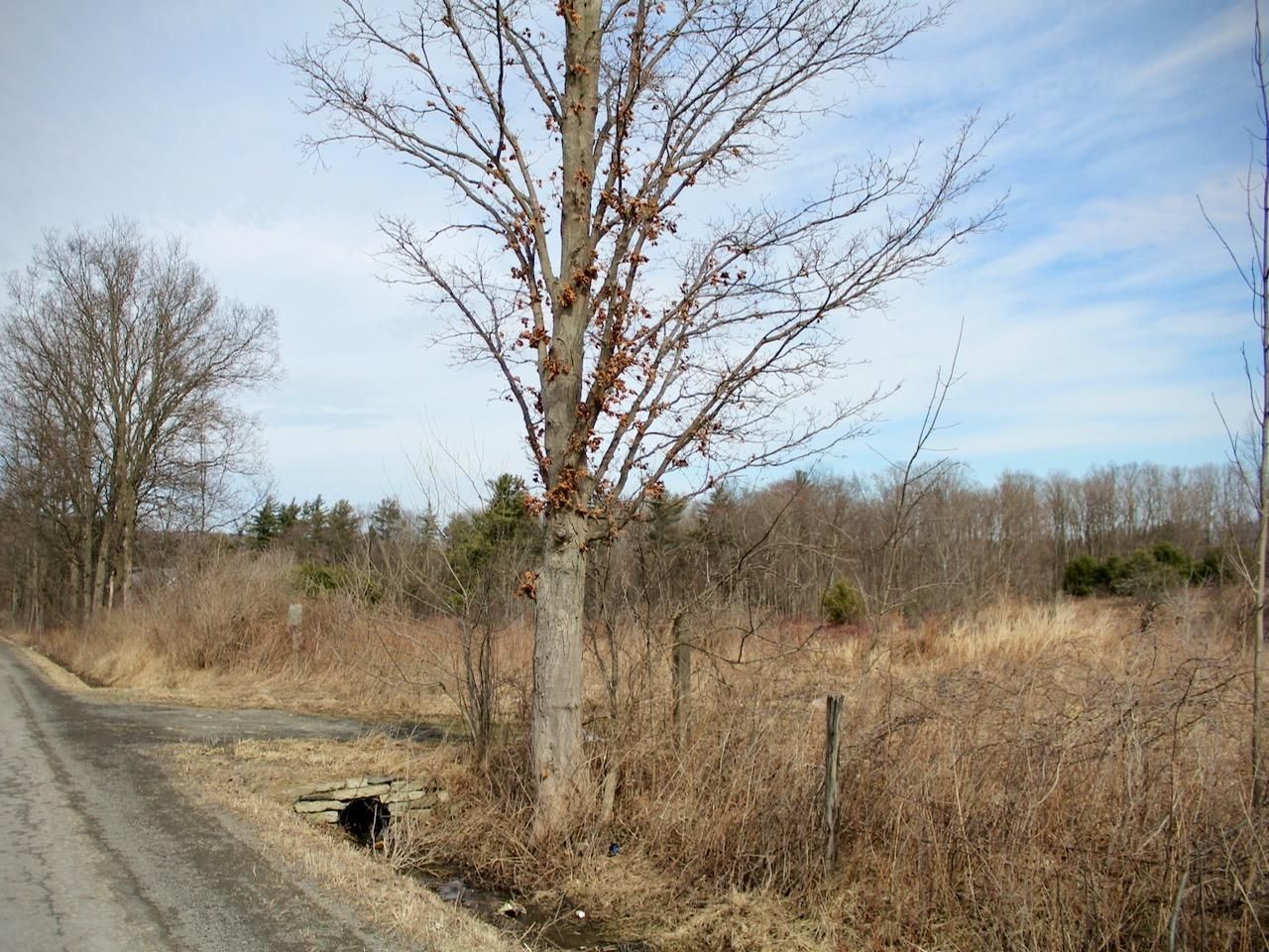 Newfield, Tompkins County, NY Undeveloped Land for sale Property ID