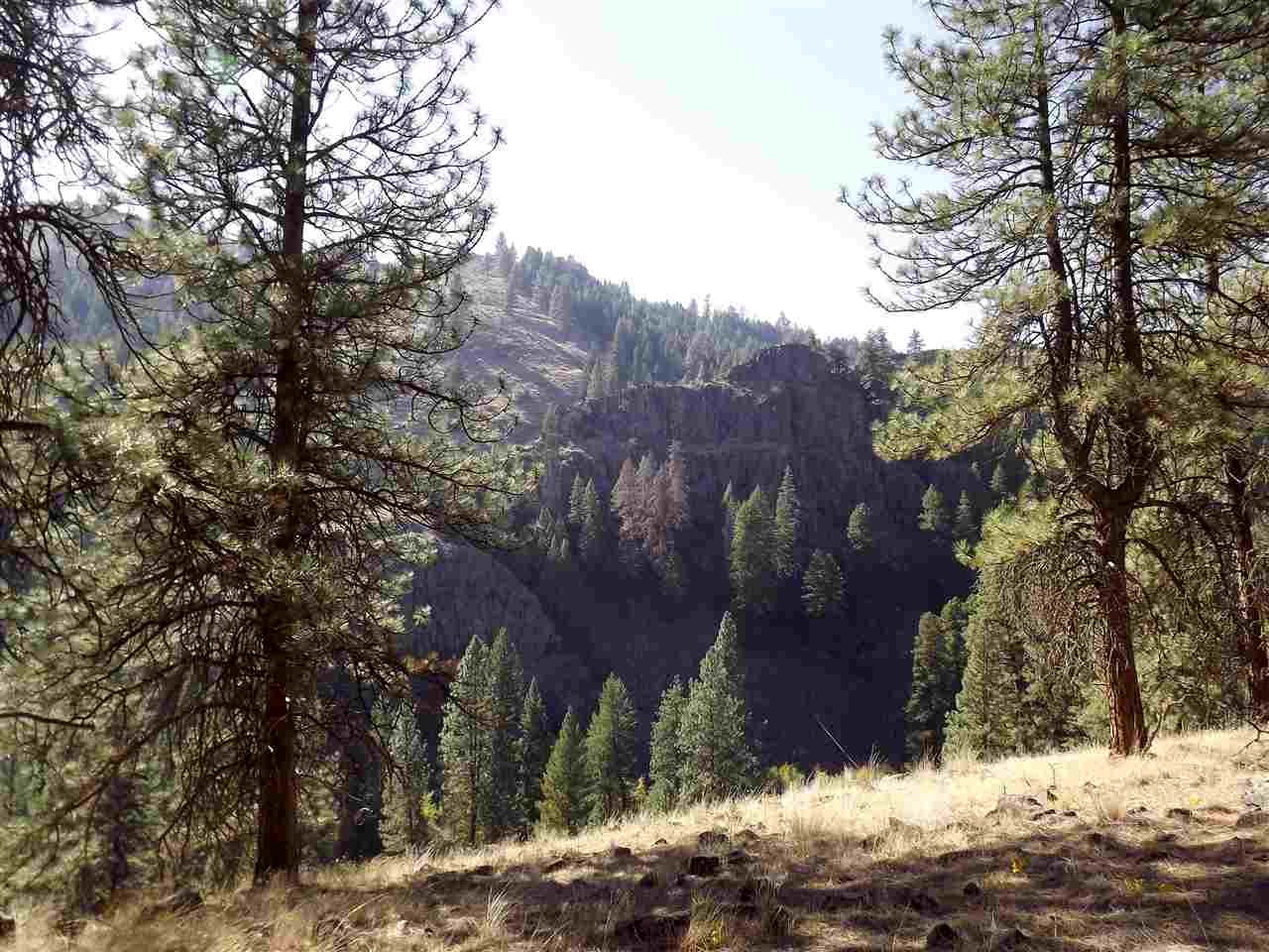 Richland, Baker County, OR Undeveloped Land for sale Property ID