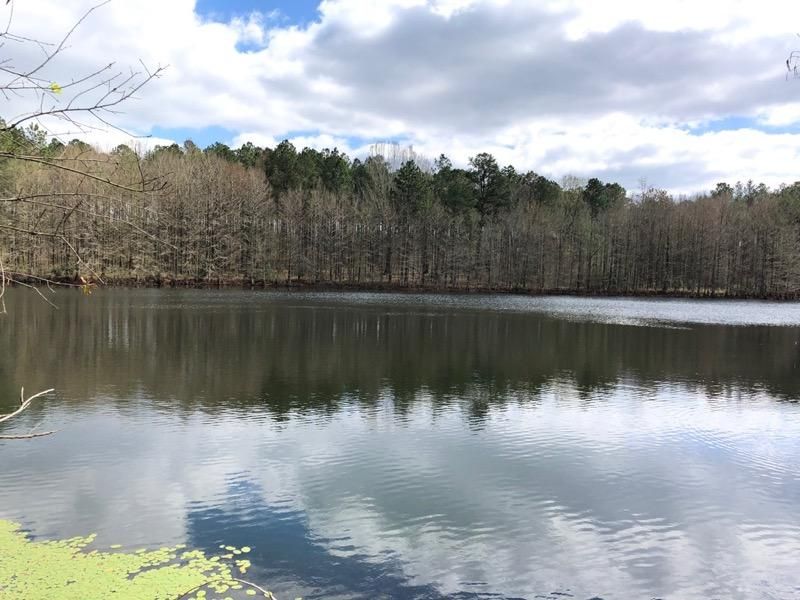 Whigham, Grady County, GA Recreational Property, Timberland Property for sale Property ID