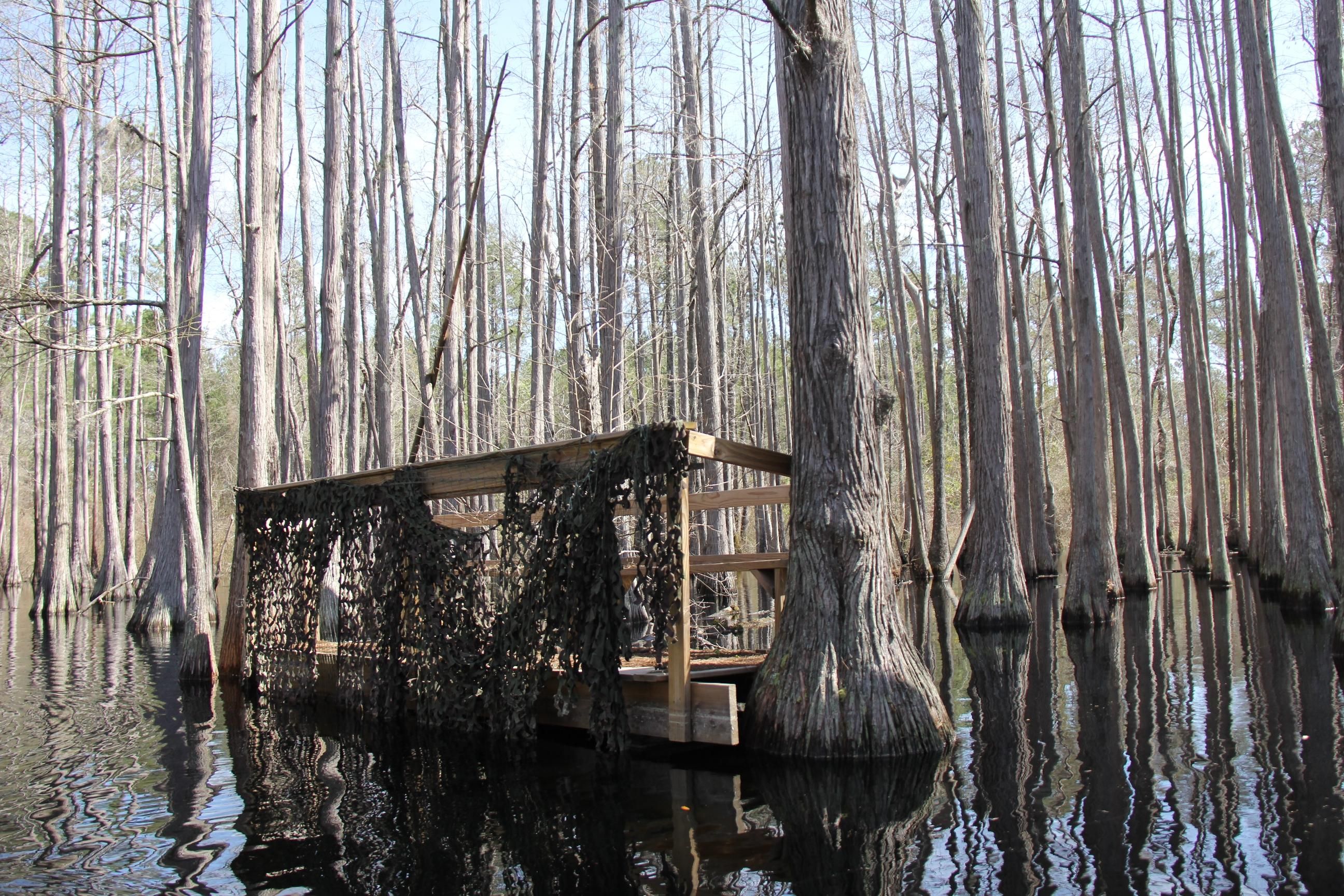 Hilton, Early County, GA Recreational Property, Timberland Property