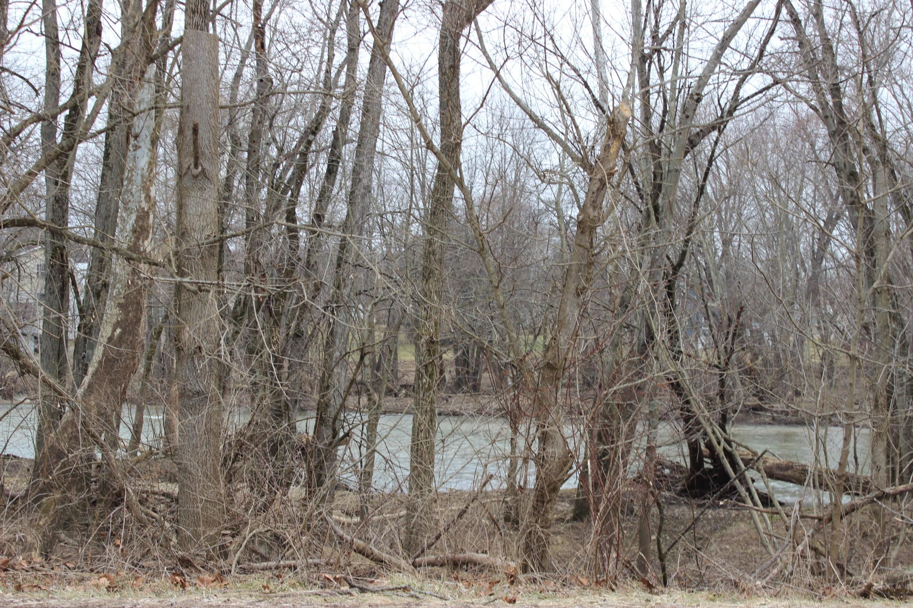 Ostrander, Delaware County, OH Undeveloped Land, Lakefront Property