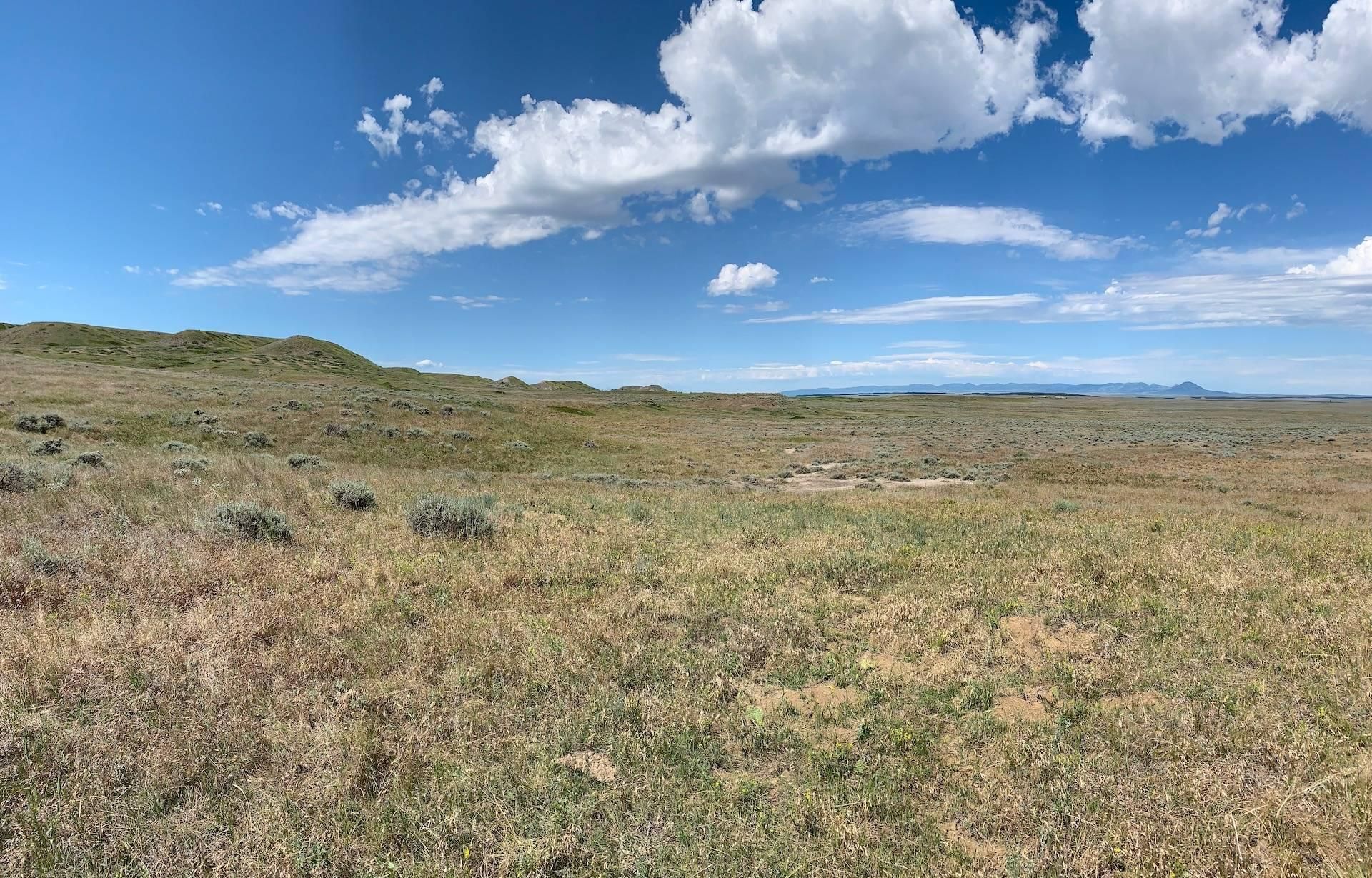 Teigen, Petroleum County, MT Farms and Ranches, Hunting Property, Horse