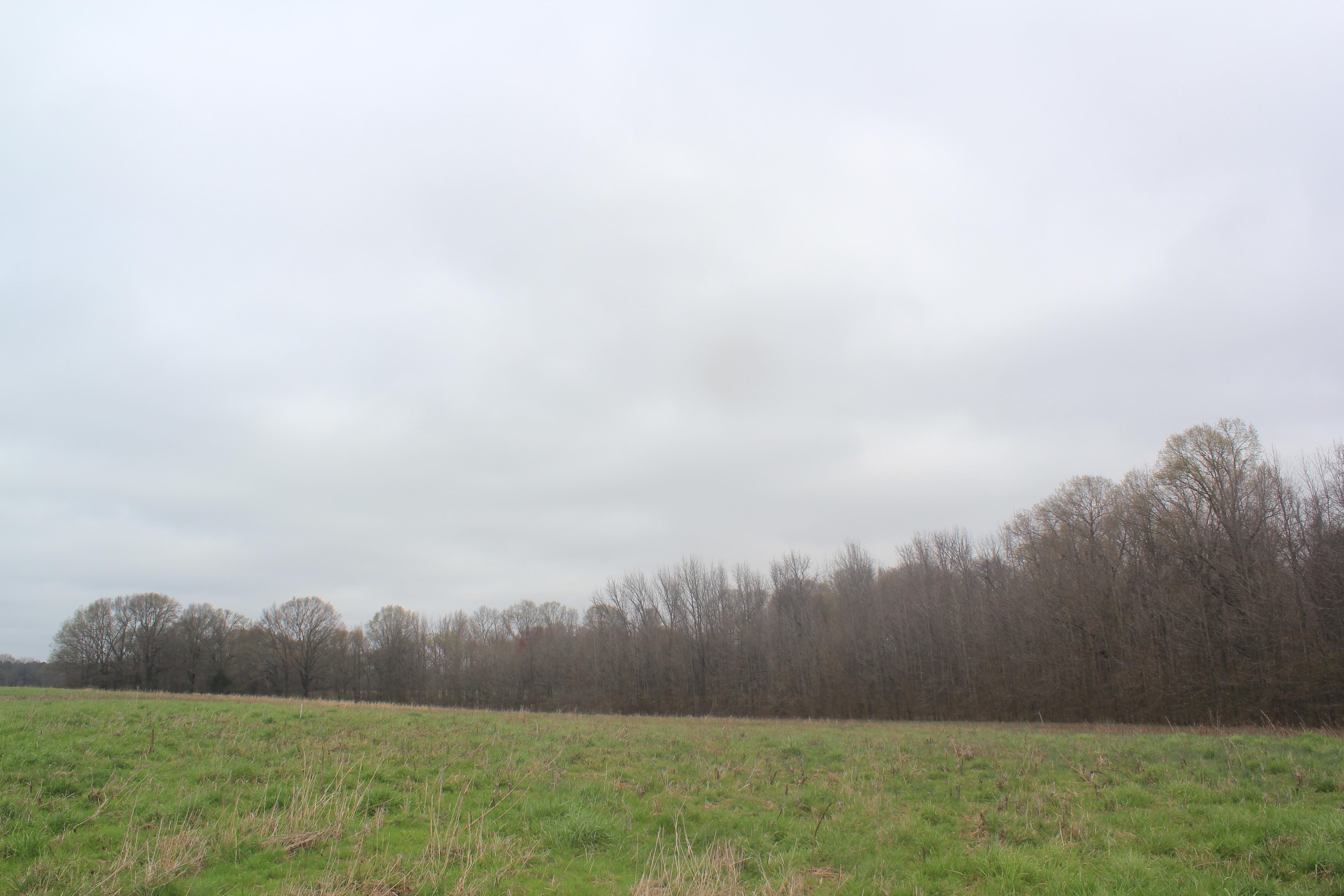 Senatobia, Tate County, MS Farms and Ranches, Recreational Property for