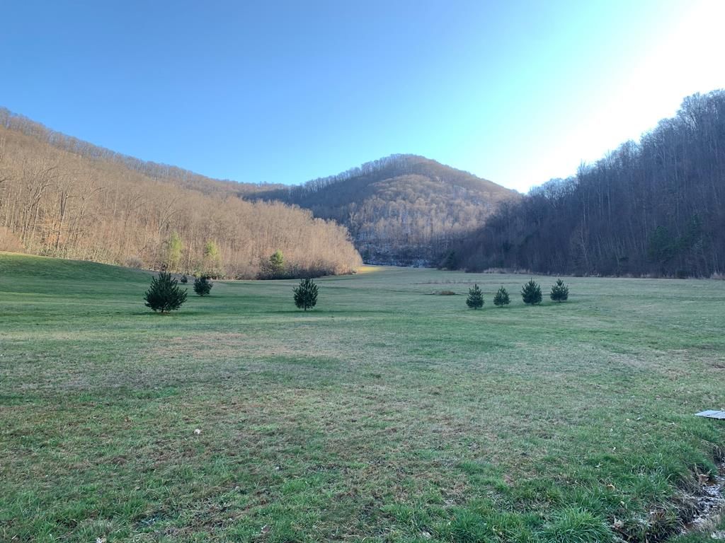 Barnardsville, County, NC Undeveloped Land for sale Property