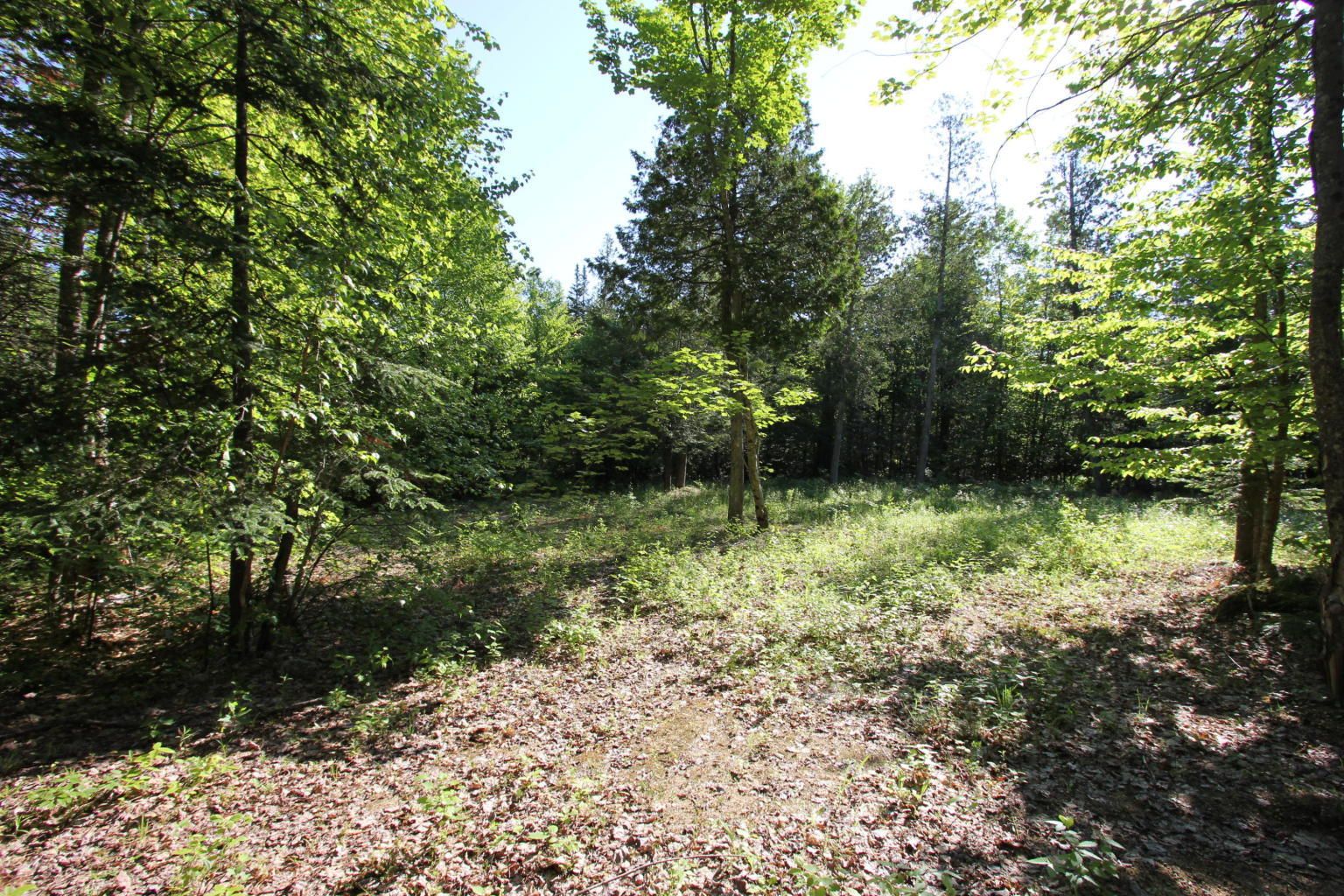 Hartford, Oxford County, ME Undeveloped Land, Homesites for sale