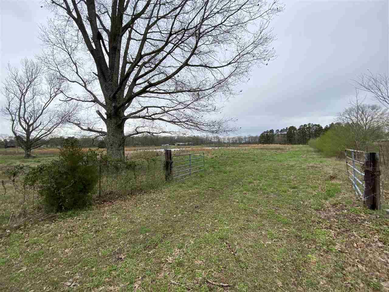Oakland, Fayette County, TN Undeveloped Land for sale Property ID