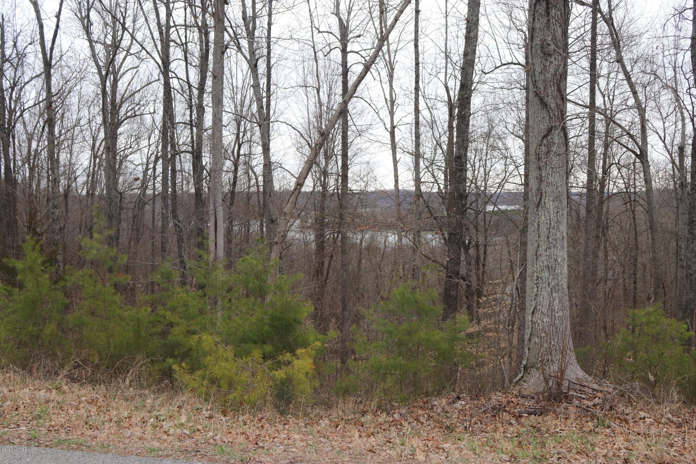 Bee Spring, Edmonson County, KY Undeveloped Land, Homesites for sale