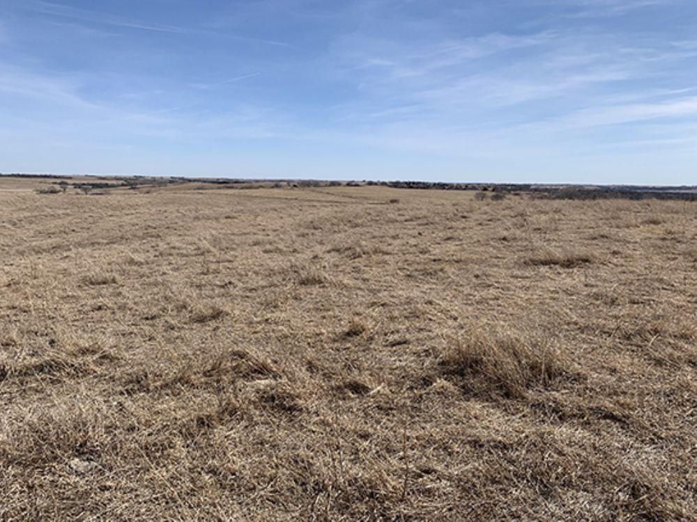 120 acres in Brainard, NE, LandWatch
