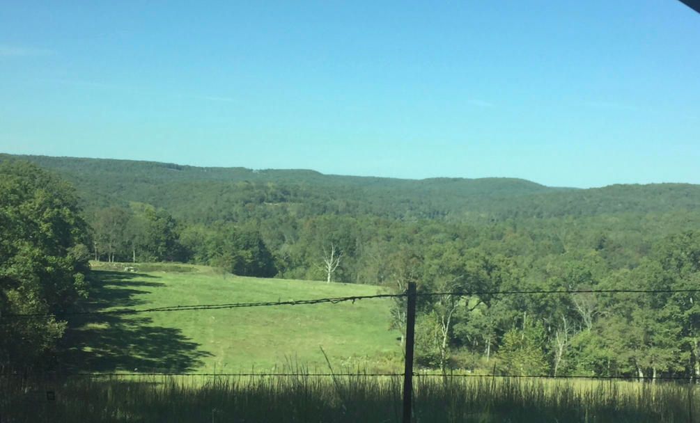 Oldfield, Christian County, MO Undeveloped Land for sale Property ID