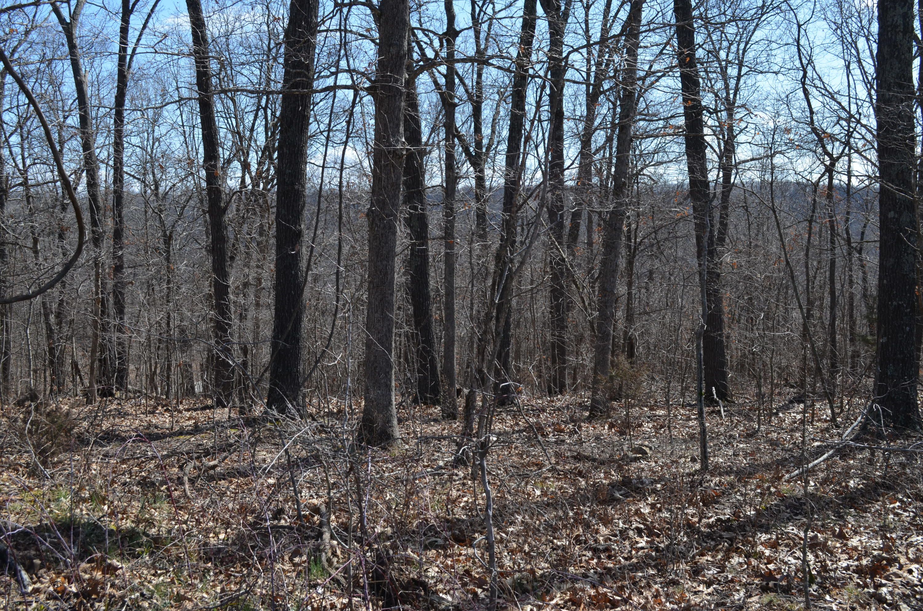 Bruner, Christian County, MO Undeveloped Land for sale Property ID