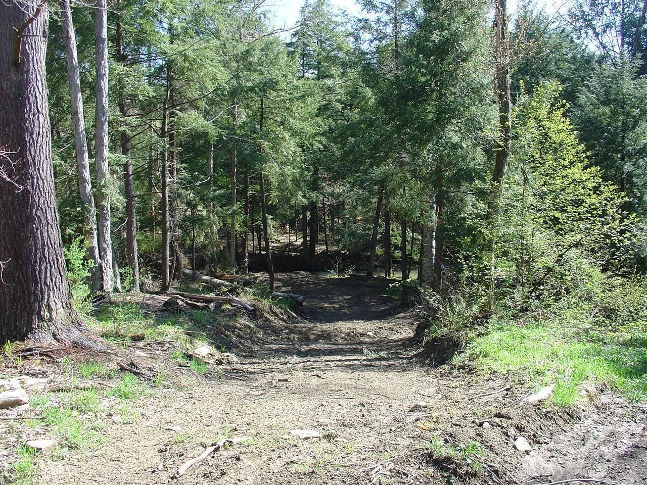 Steamburg, Cattaraugus County, NY Recreational Property, Hunting
