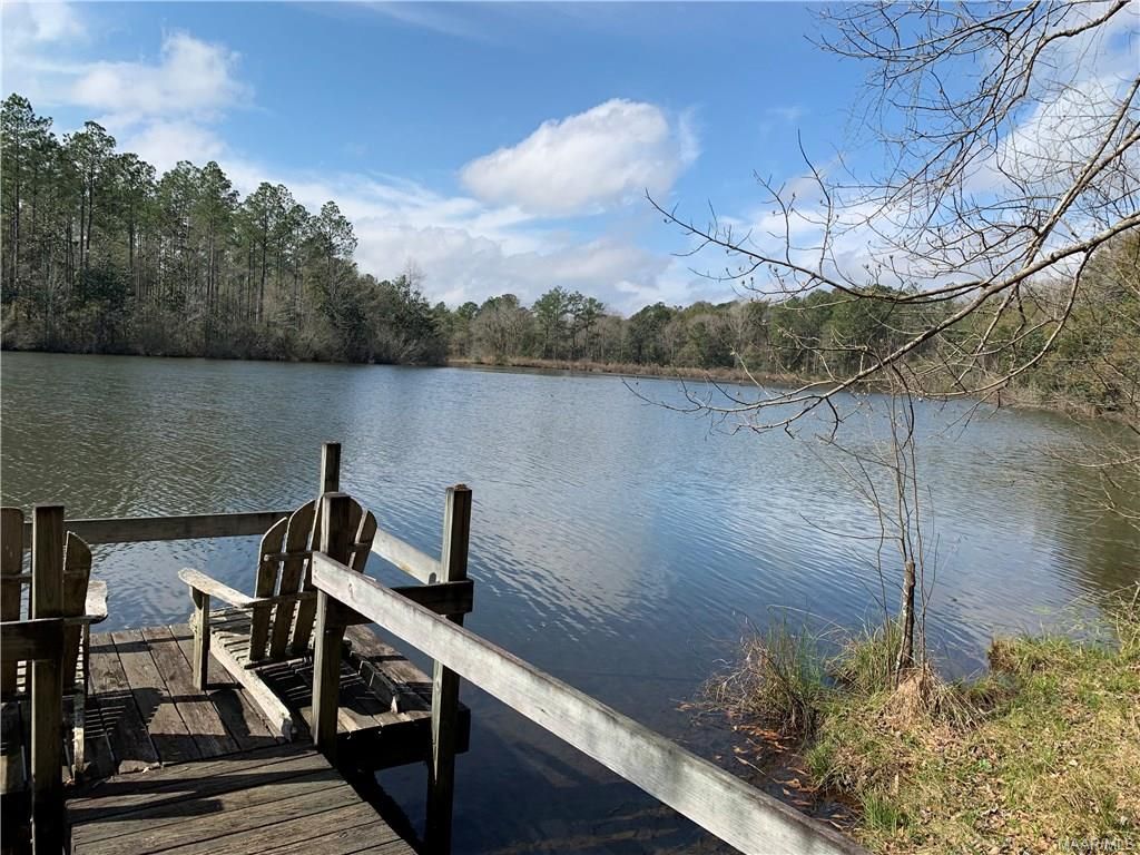 County Road 655 ., Coffee Springs, AL 36330 MLS 447624 LandWatch