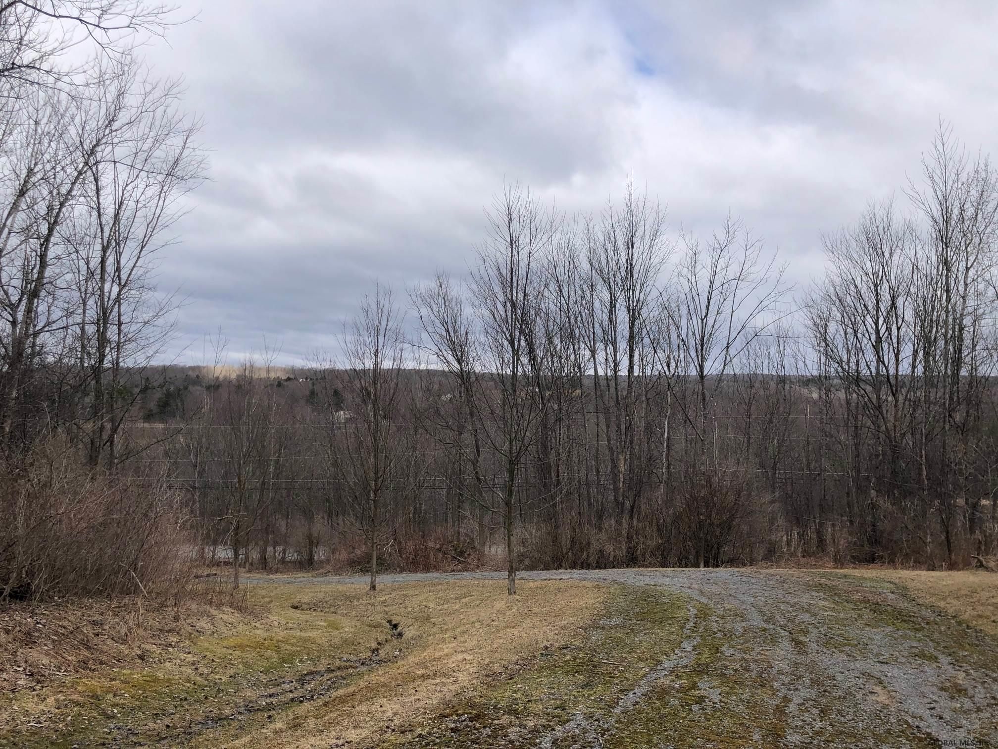 Duanesburg, Schenectady County, NY Undeveloped Land for sale Property