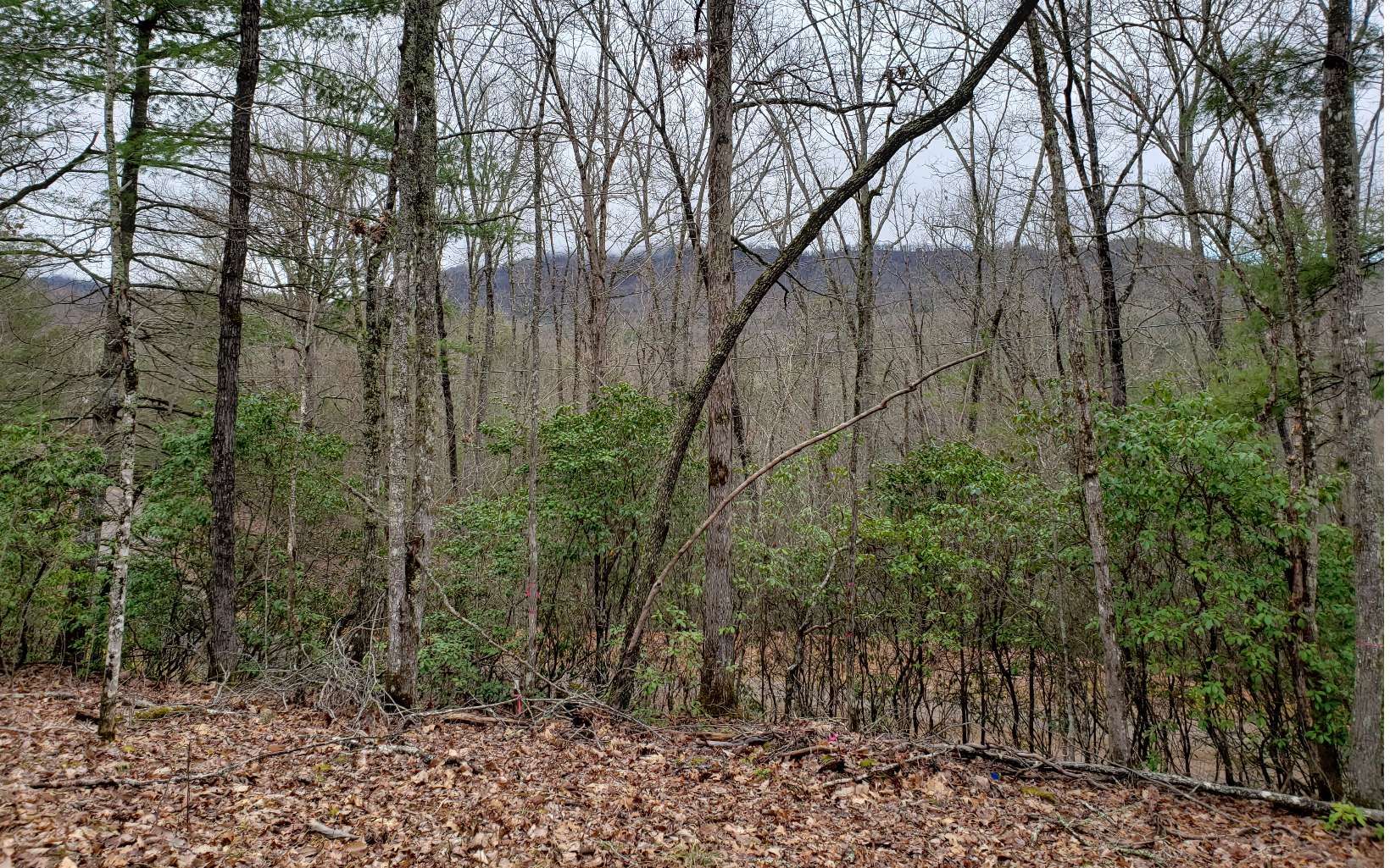 Warne, Clay County, NC Undeveloped Land, Homesites for sale Property ID