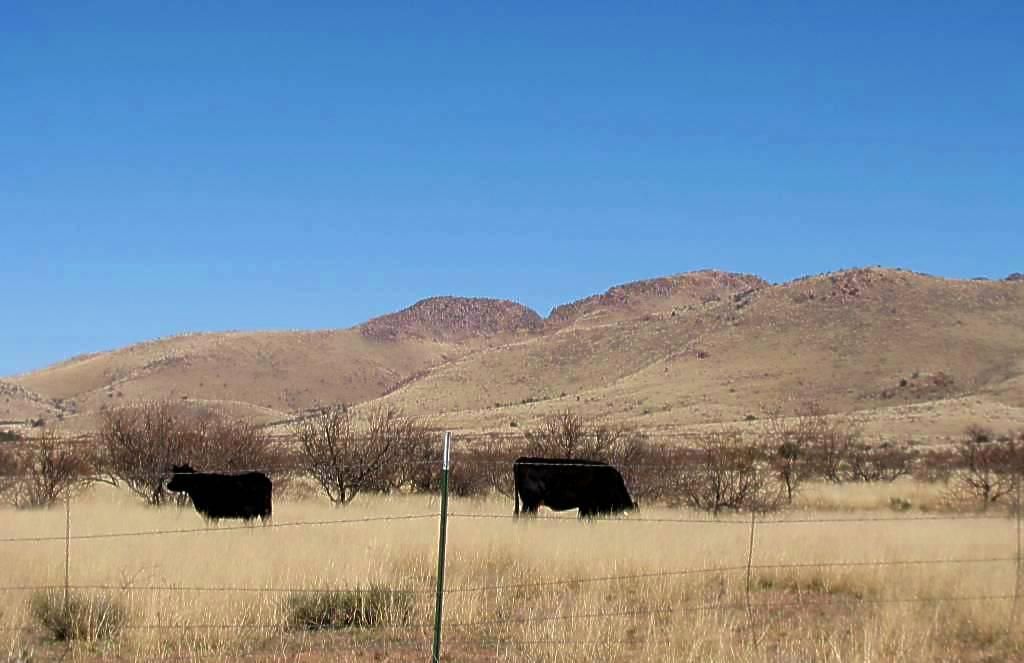 Pearce, Cochise County, AZ Recreational Property, Undeveloped Land