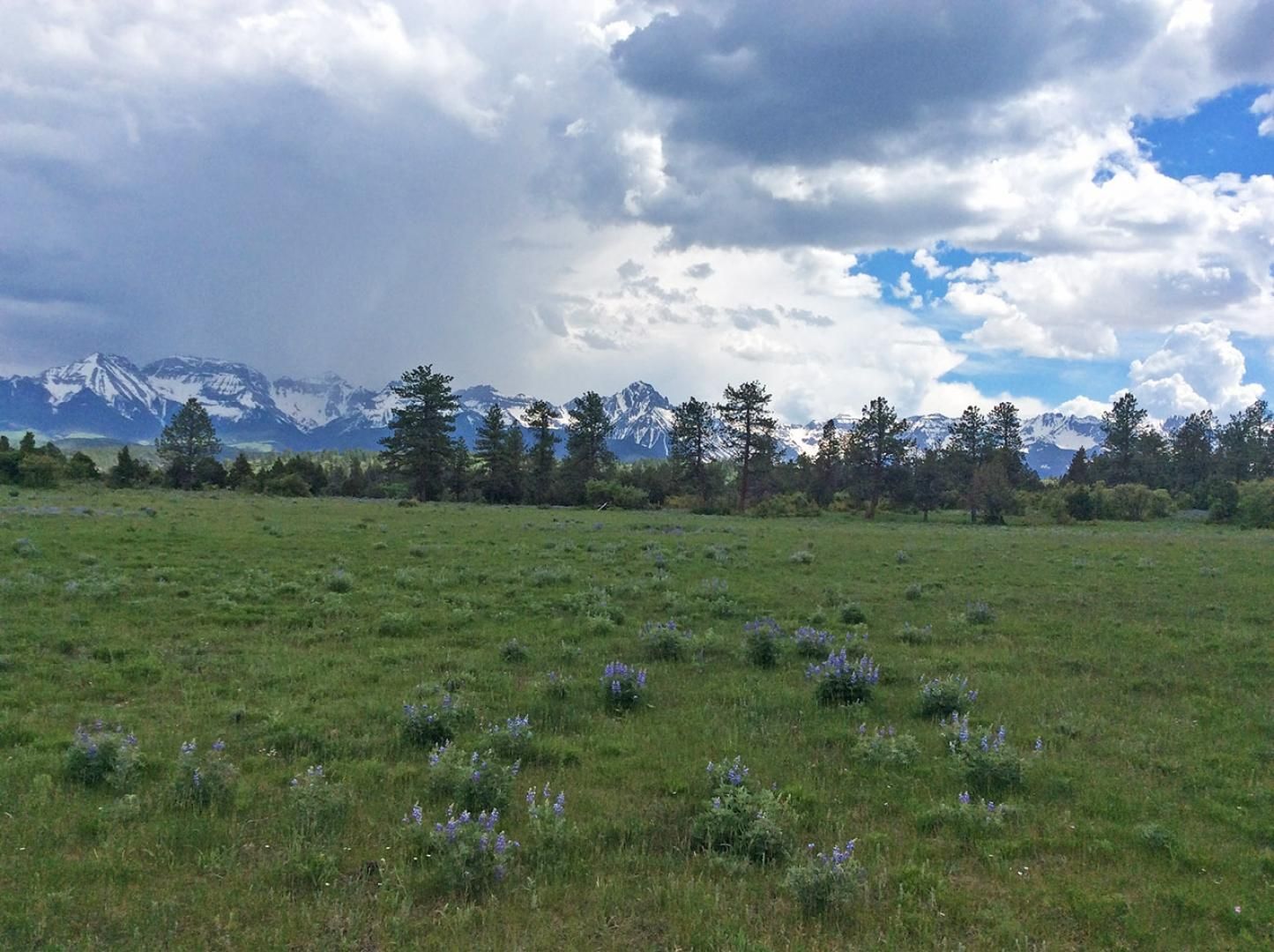 Ridgway, Ouray County, CO Farms and Ranches, Recreational Property