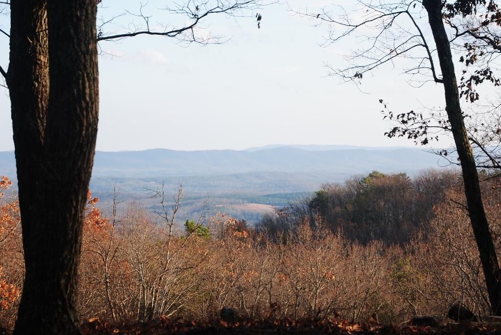 Cloudland, Chattooga County, GA Undeveloped Land for sale Property ID