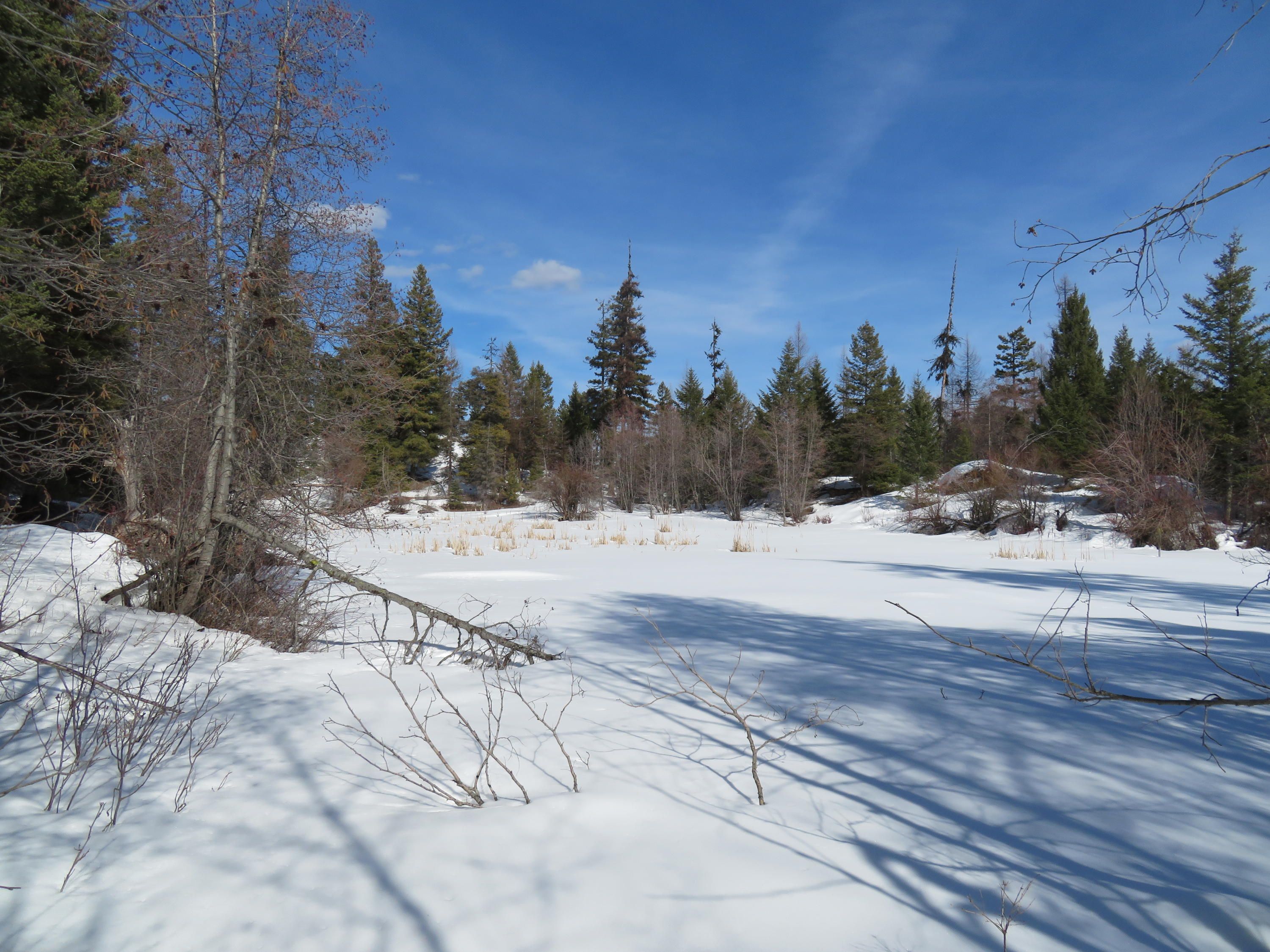 Wauconda, Okanogan County, WA Undeveloped Land for sale Property ID