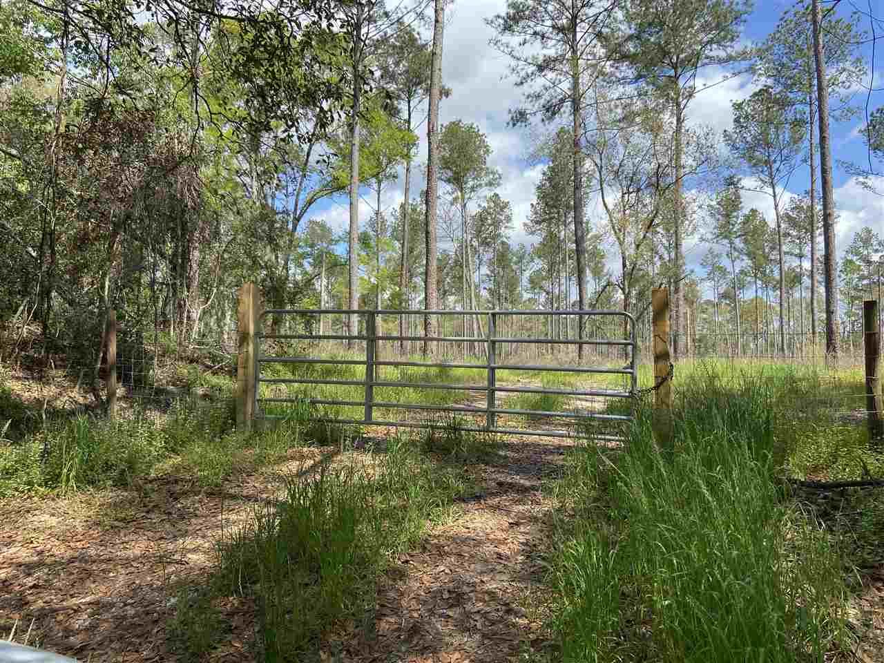 Quincy, Gadsden County, FL Undeveloped Land for sale Property ID