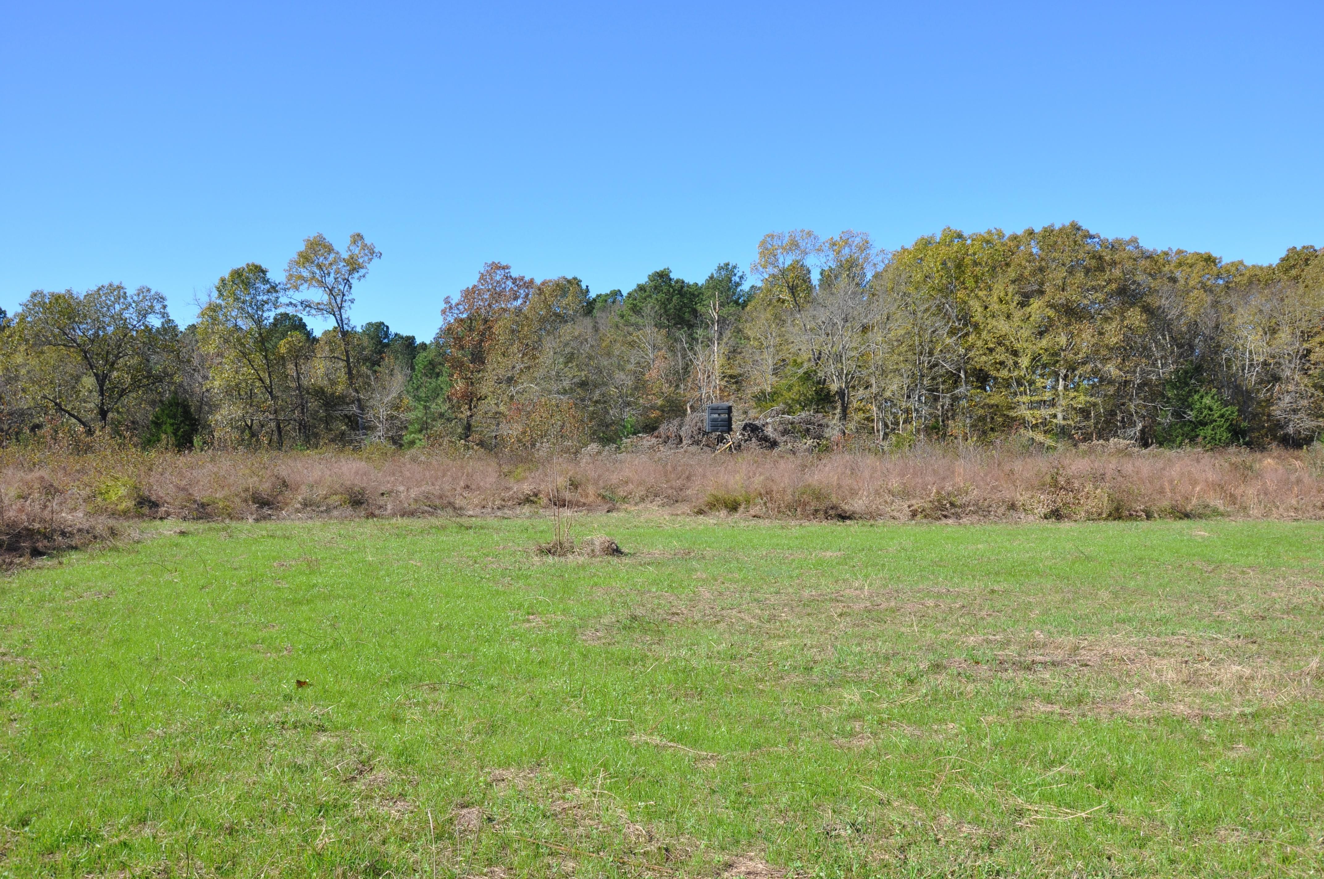 Somerville, Fayette County, TN Farms and Ranches, Recreational Property