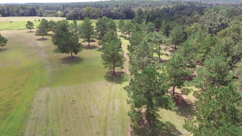 Cairo, Grady County, GA Undeveloped Land for sale Property ID
