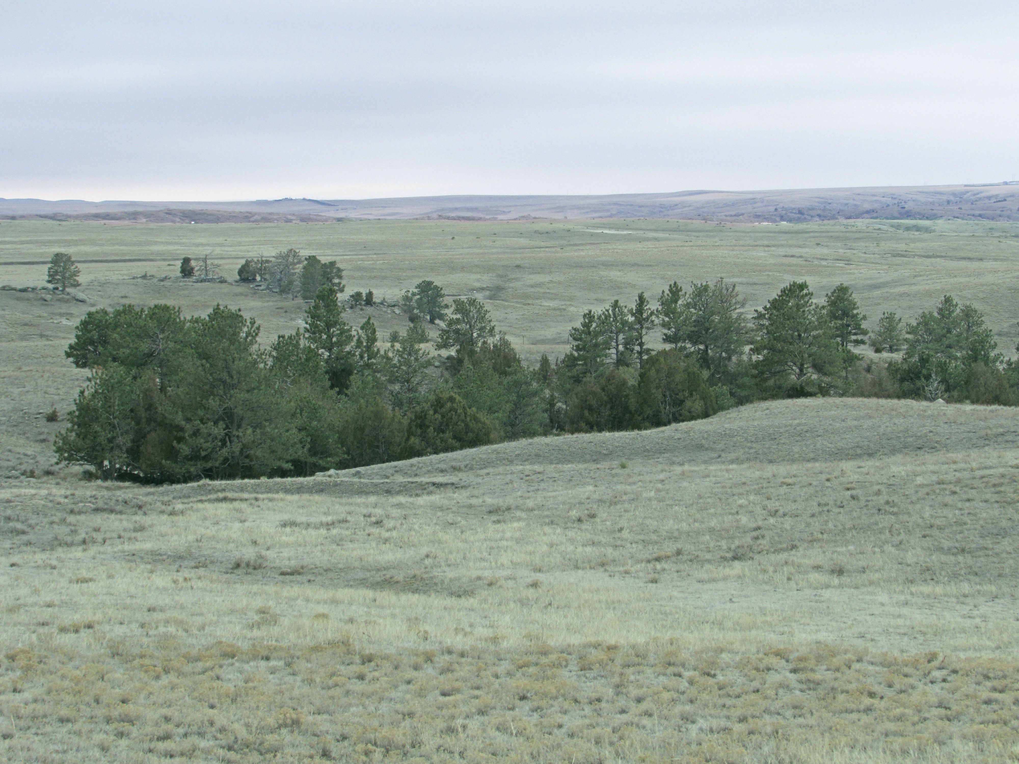 35.26 acres in Guernsey, WY, 82214 MLS Tract 44 at Rabbit Bush Ranch