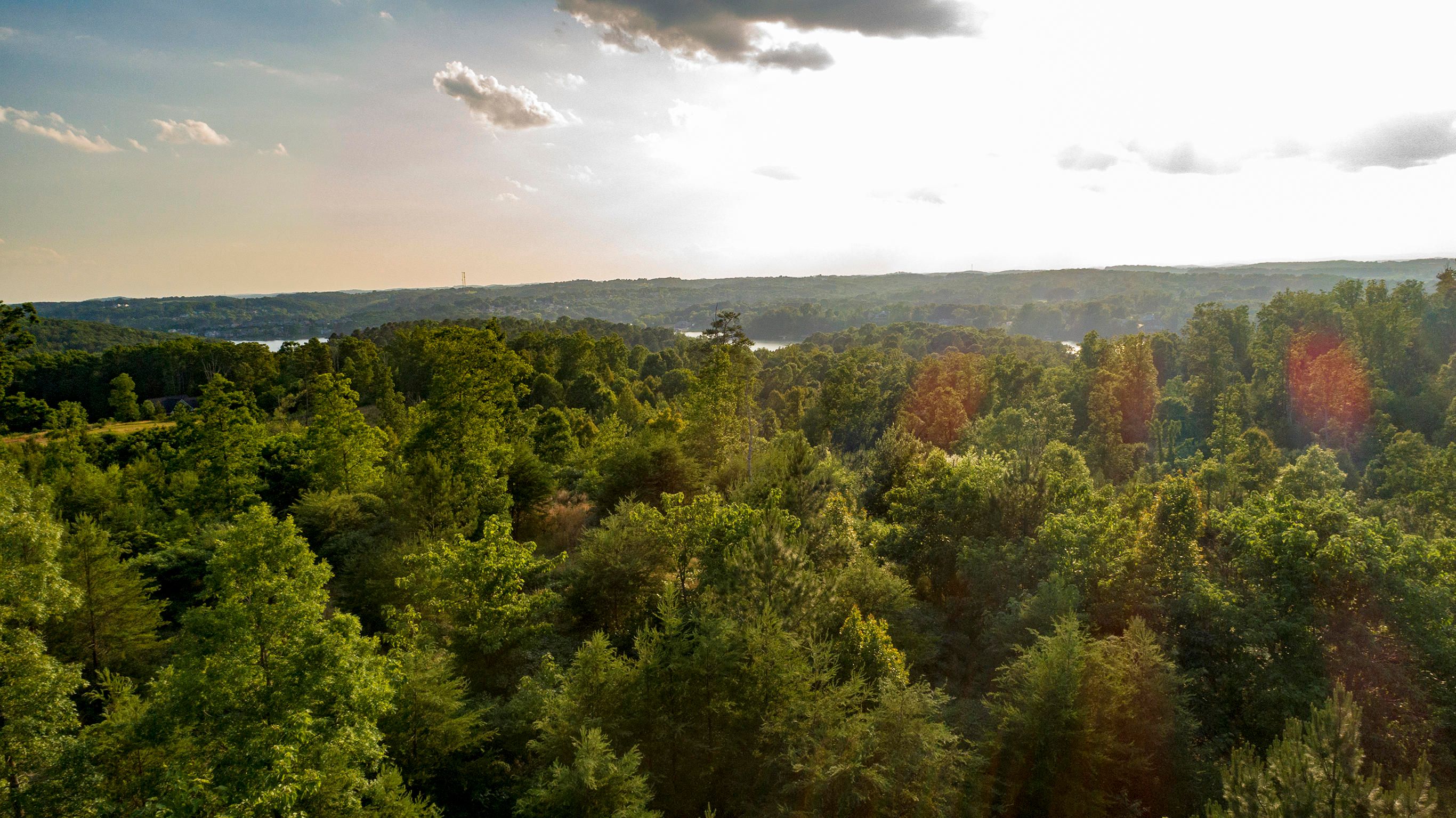 Greenback, Loudon County, TN Undeveloped Land for sale Property ID