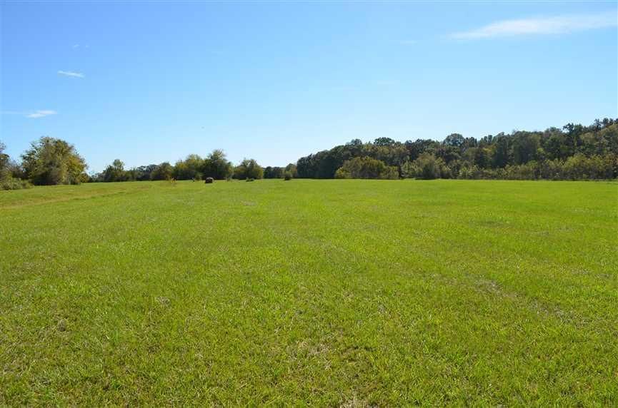 Hope Hull, Lowndes County, AL Farms and Ranches, Undeveloped Land for sale Property ID
