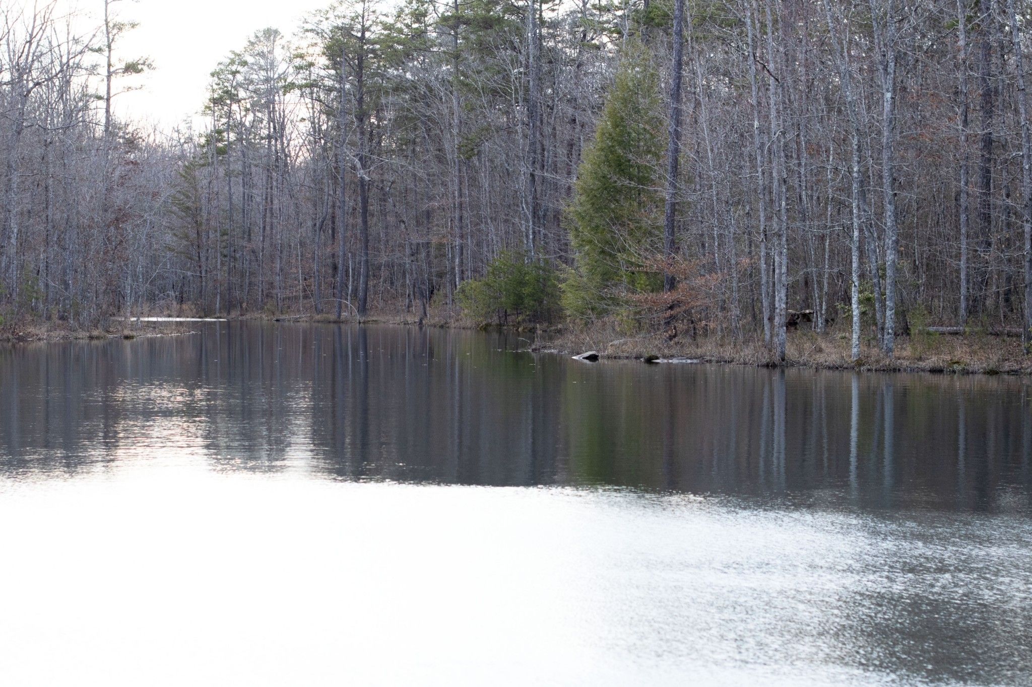 Coalmont, Grundy County, TN Undeveloped Land for sale Property ID