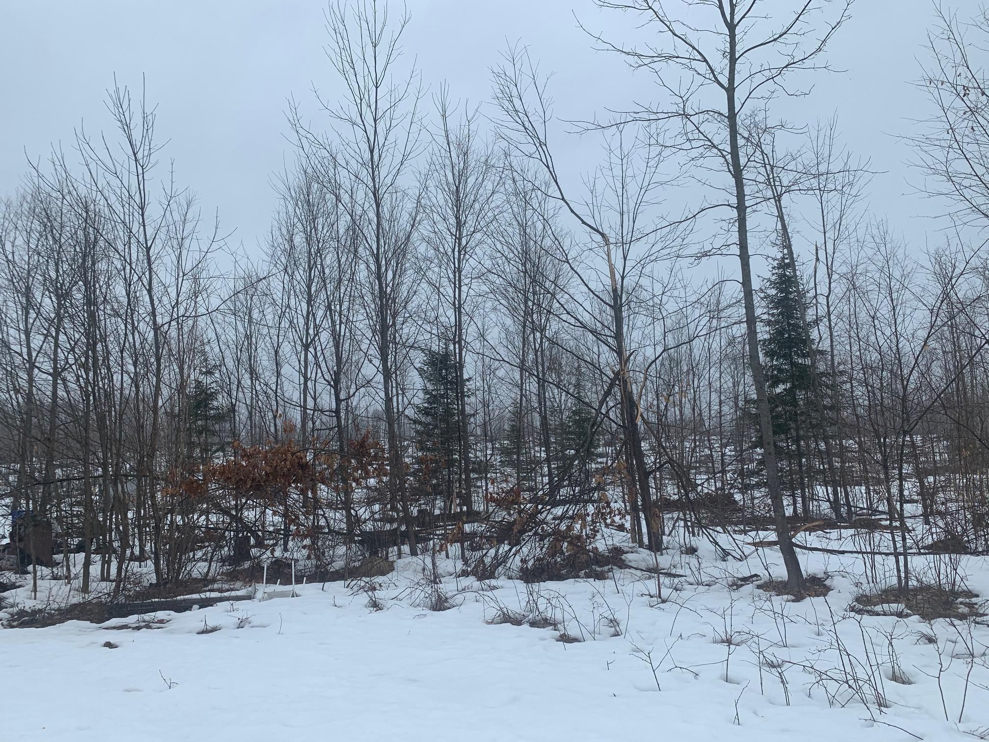 White Lake, Langlade County, WI House for sale Property ID 337697398