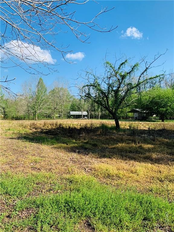 Jonesville, Catahoula Parish, LA Undeveloped Land, Lakefront Property