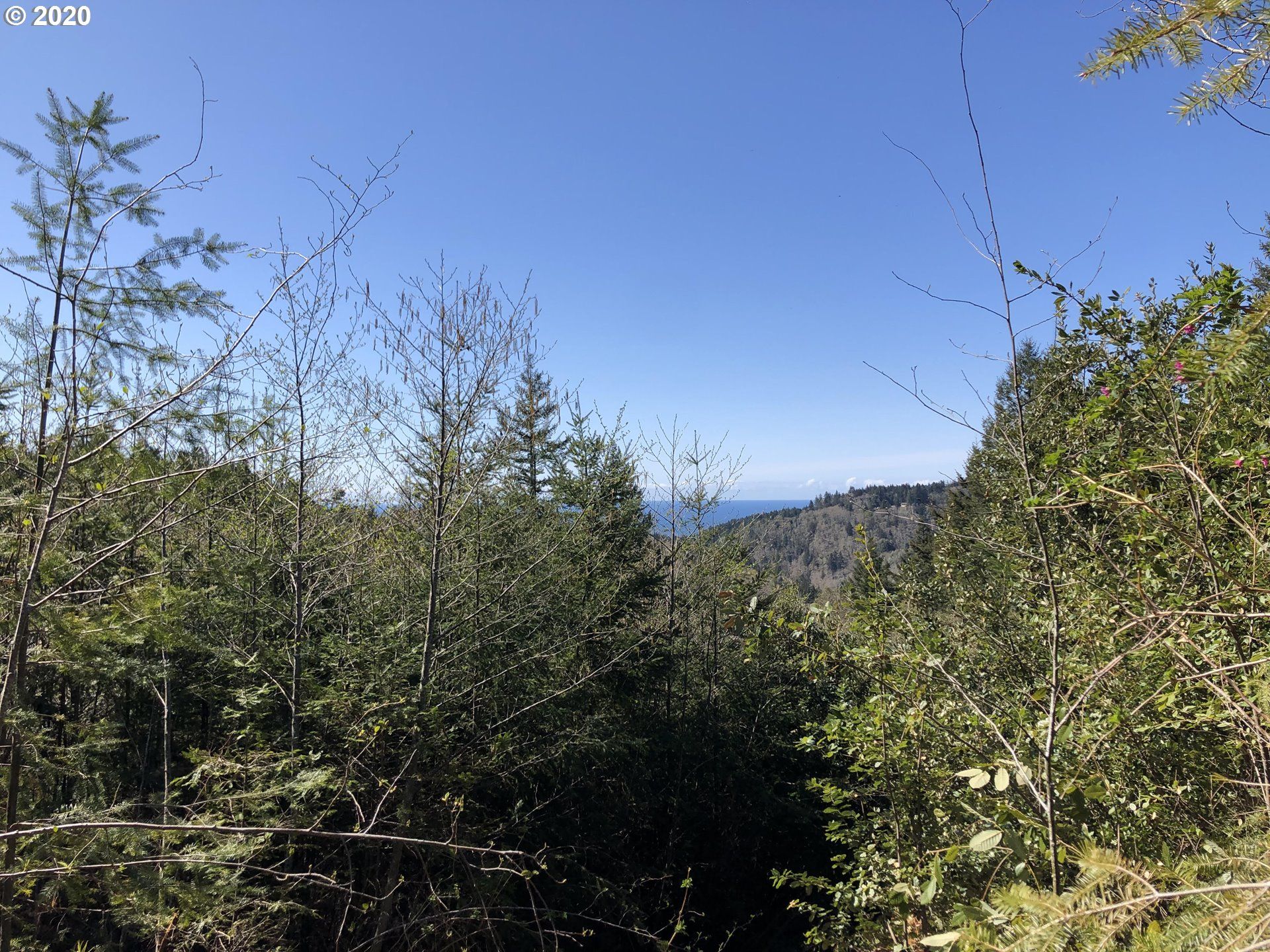 Brookings, Curry County, OR Undeveloped Land for sale Property ID