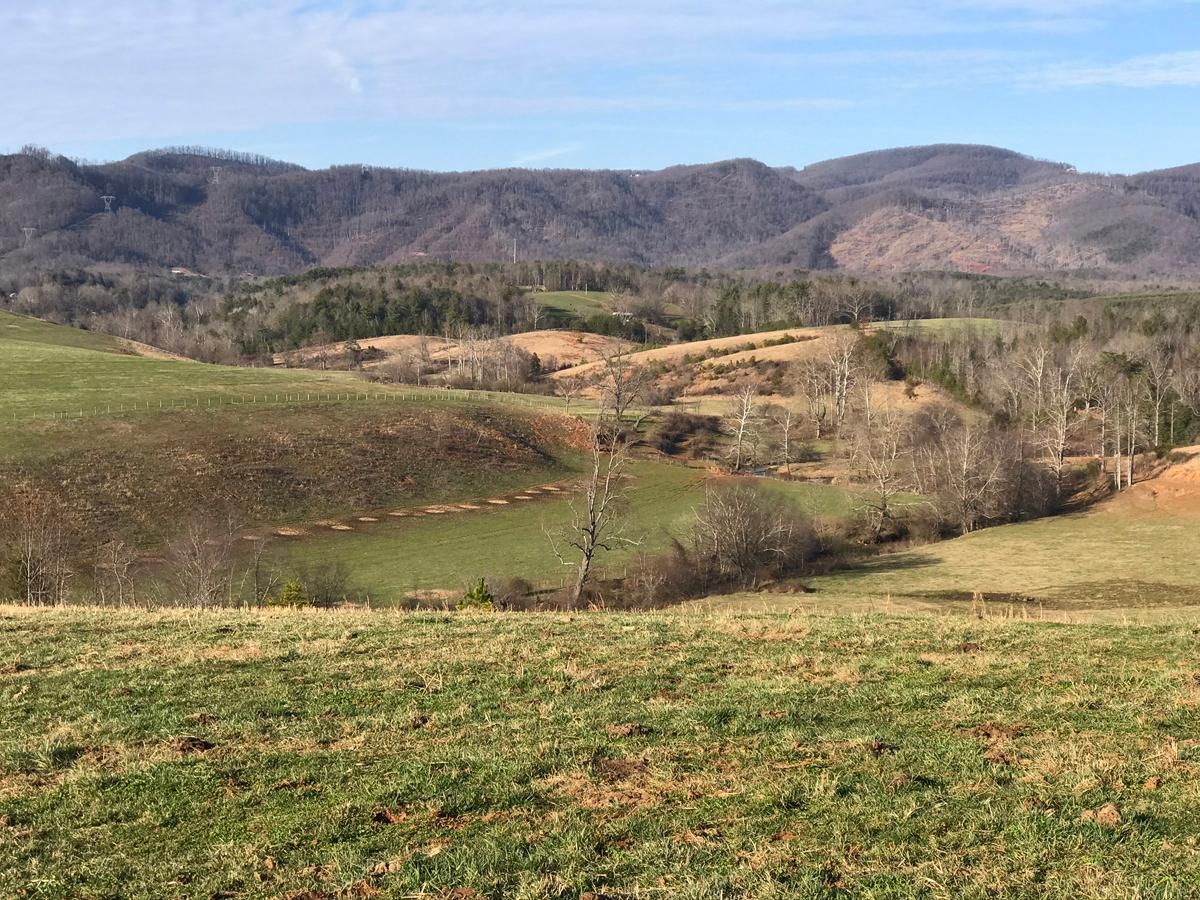 Traphill, Wilkes County, NC Farms and Ranches, Undeveloped Land for