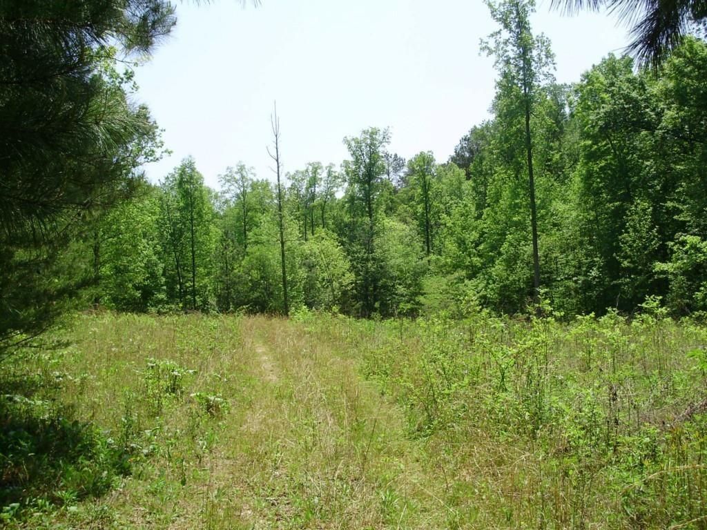 Dawsonville, Dawson County, GA Undeveloped Land for sale Property ID